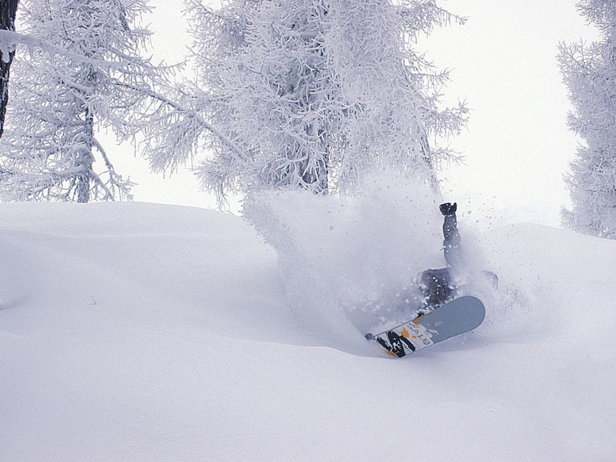 im Garten der Dolom - Erholung pur