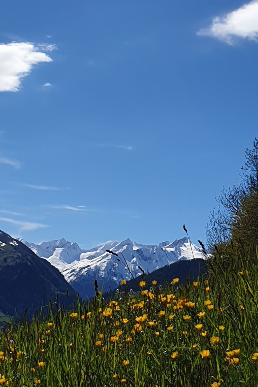 Zedlacherhof-Outside