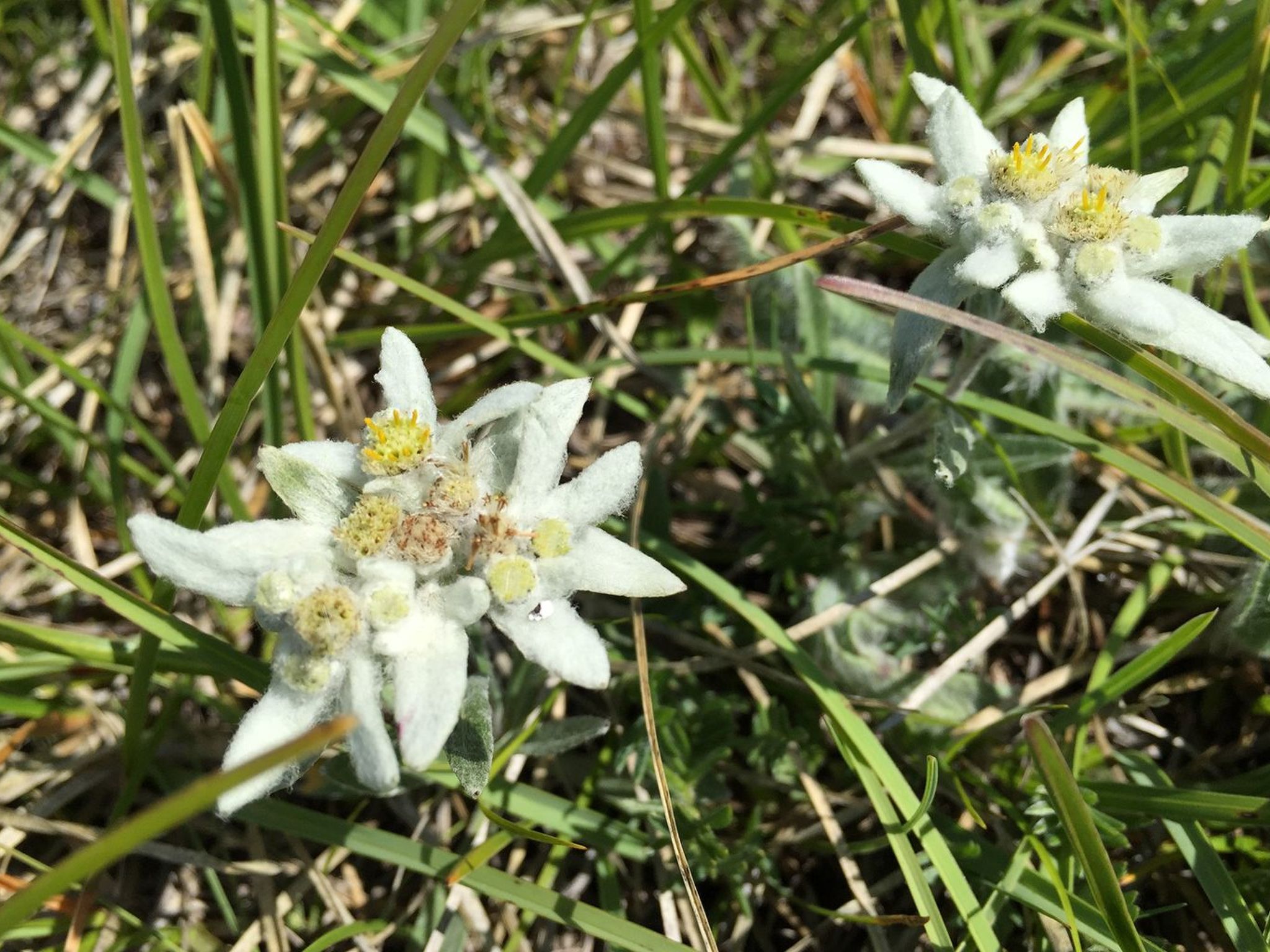Hochwertige Ferienwohnung in Matrei In Osttirol-Binnen