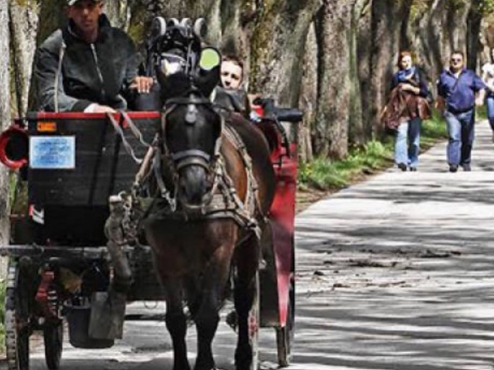 Wohnung Azi Ilidza Sarajevo-Draußen