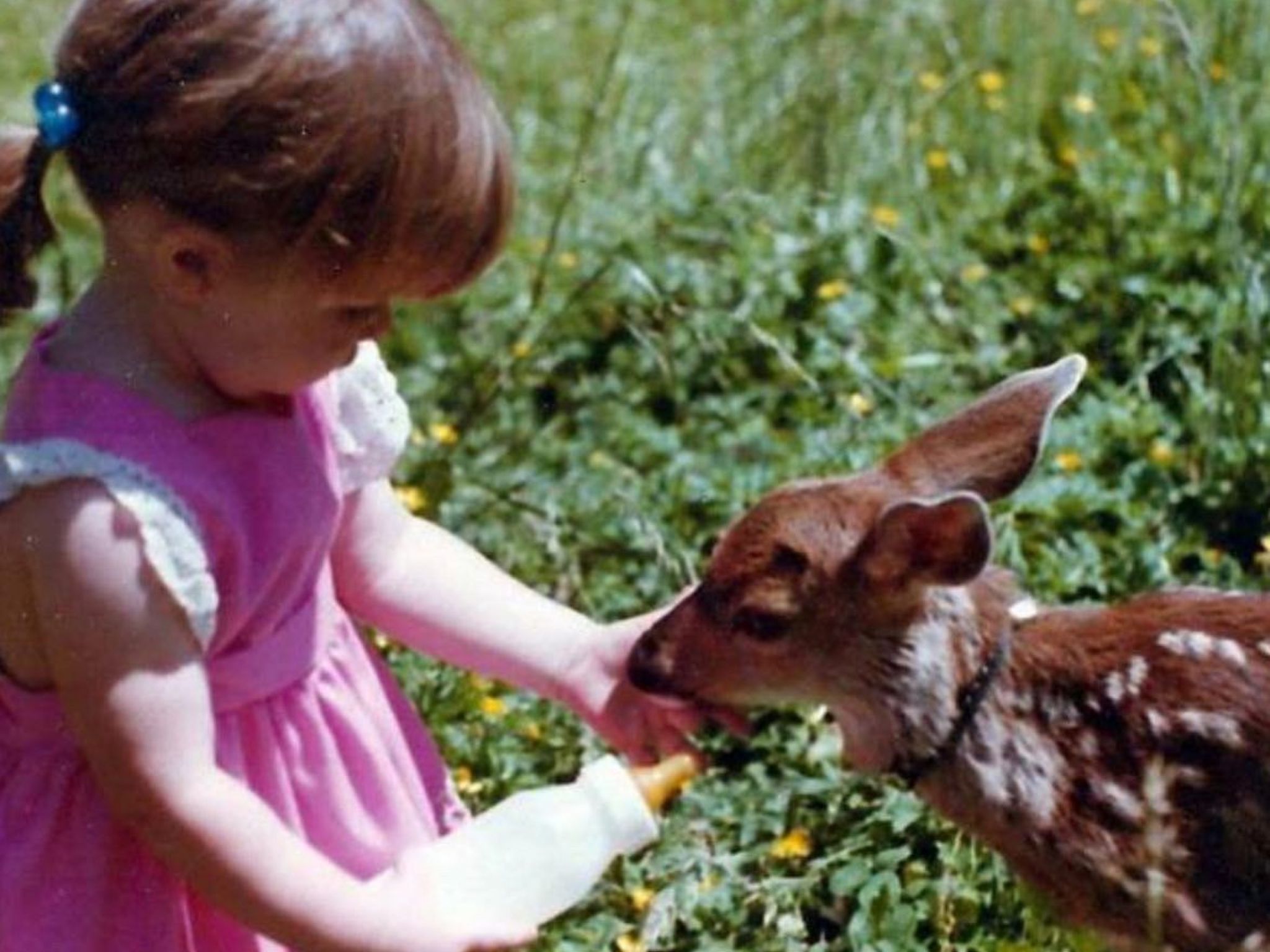 Wohnung Azi Ilidza Sarajevo-Image-tags.info