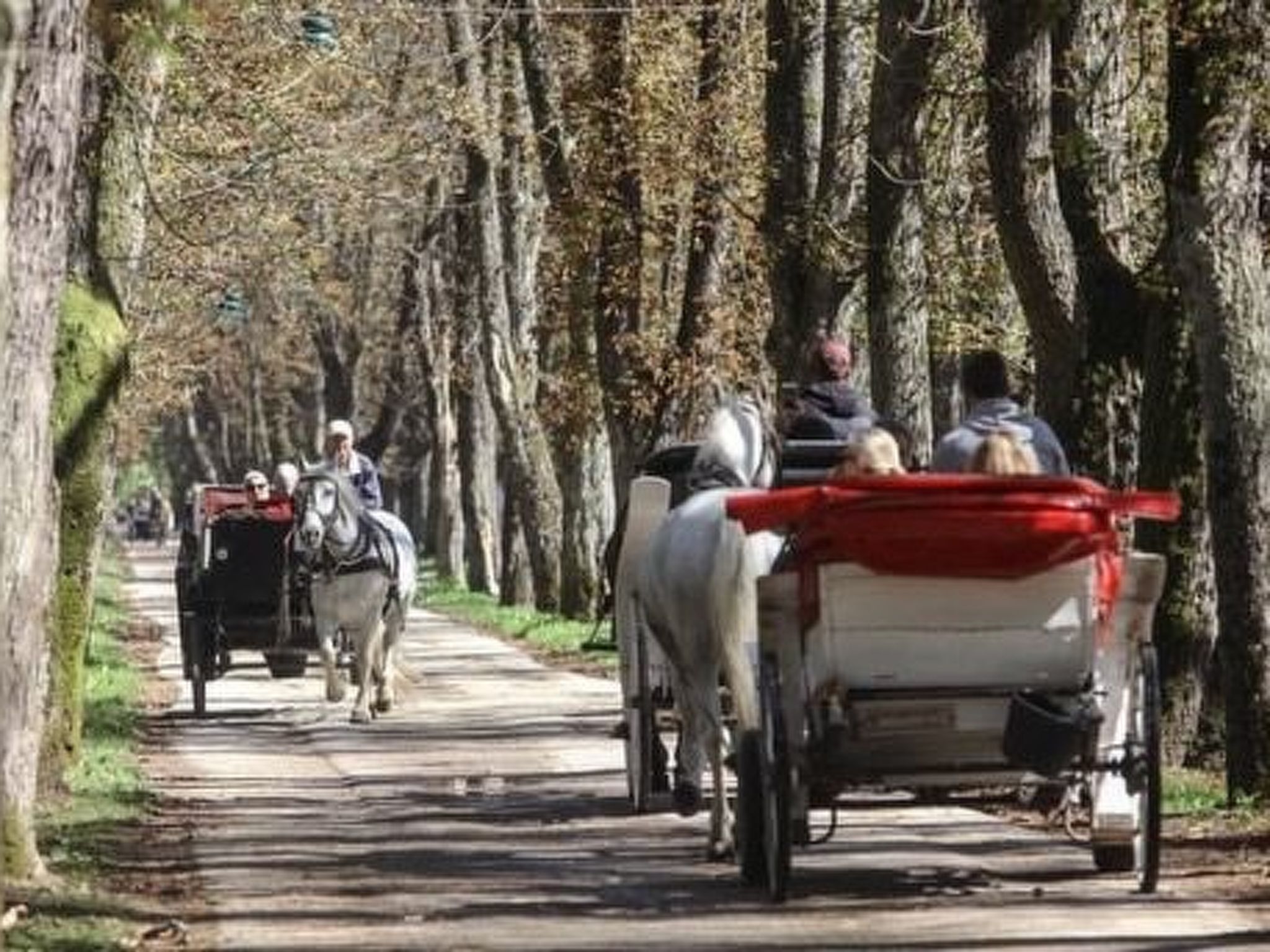 Wohnung Azi Ilidza Sarajevo-Image-tags.info