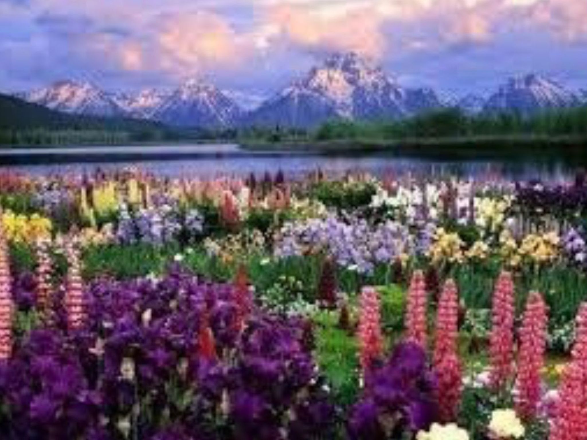 Wohnung Azi Ilidza Sarajevo-Image-tags.info