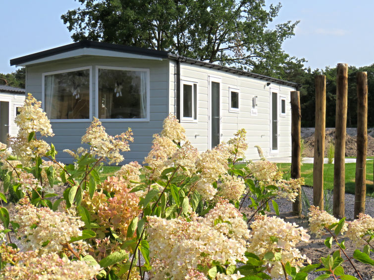 Casa de vacances EuroParcs Zilverstrand