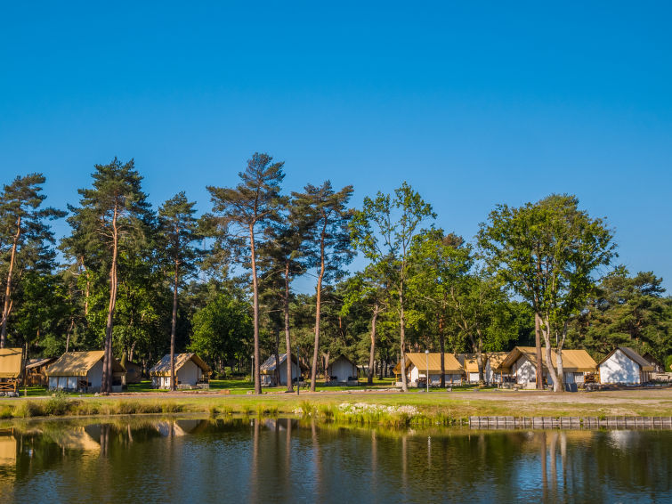 Search and Stay destination Mol, Vlaams Gewest - Belgium from AU$ 580. Glampingtent Kiezel Lodge XL 6