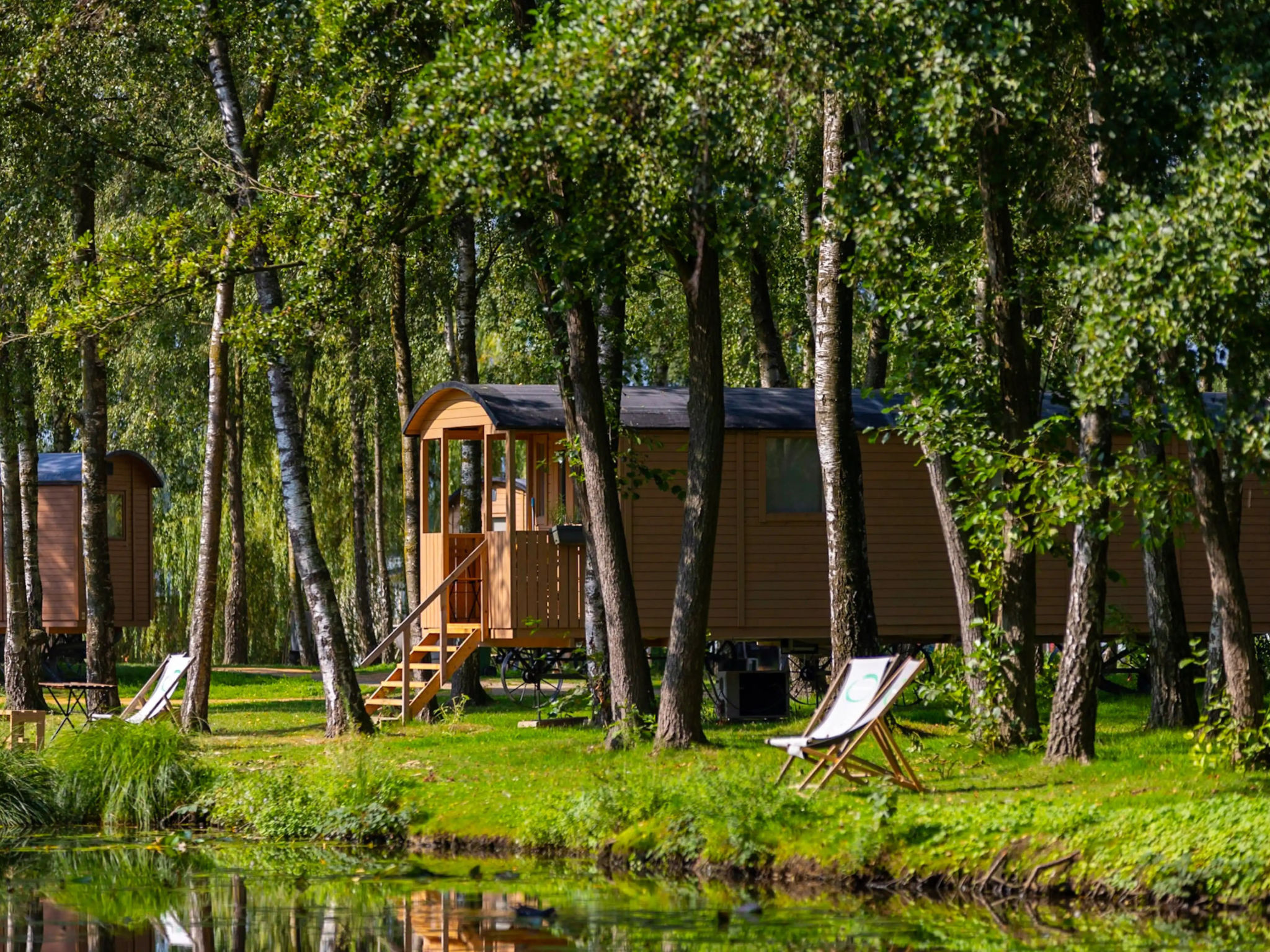 Camping Papillon Kinrooi - Pipowagen 4 p. terras