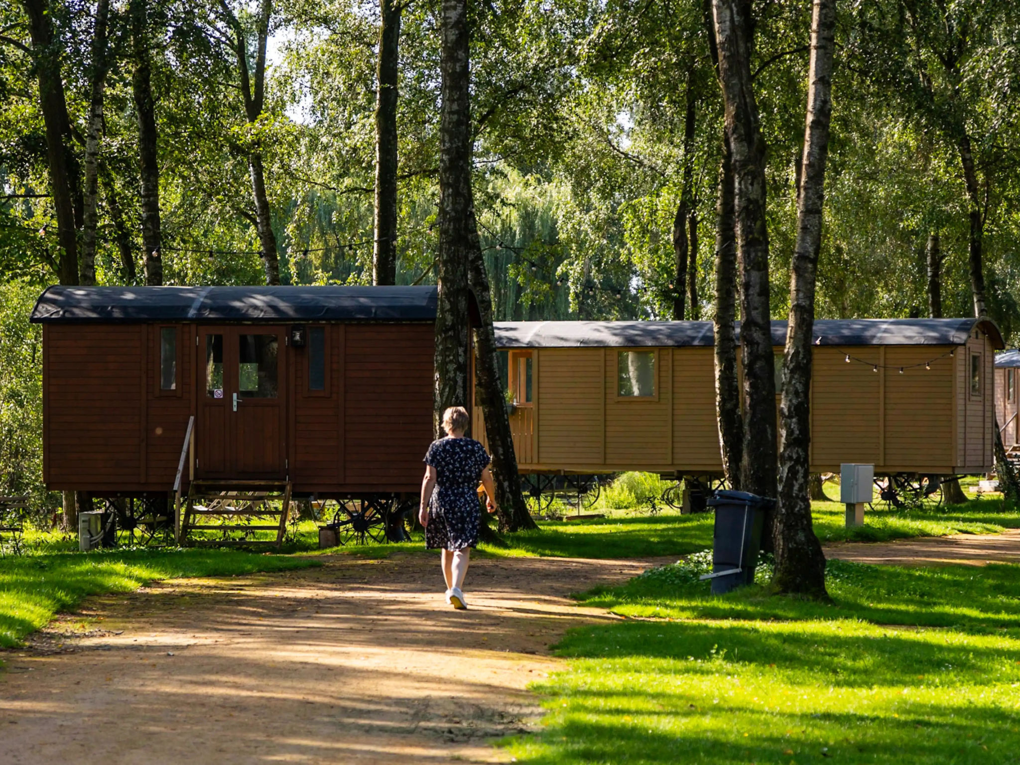 Pipowagen met terras voor 4 personen in Kinrooi - foto 7