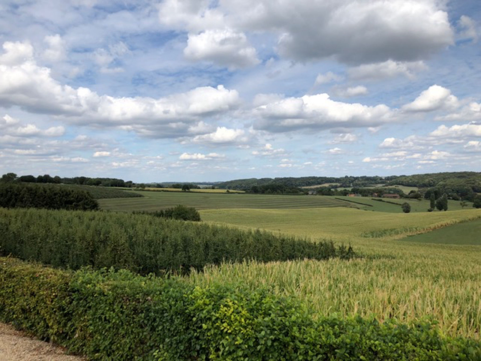 Chalet 11 - Bergzicht Teuven - Buiten