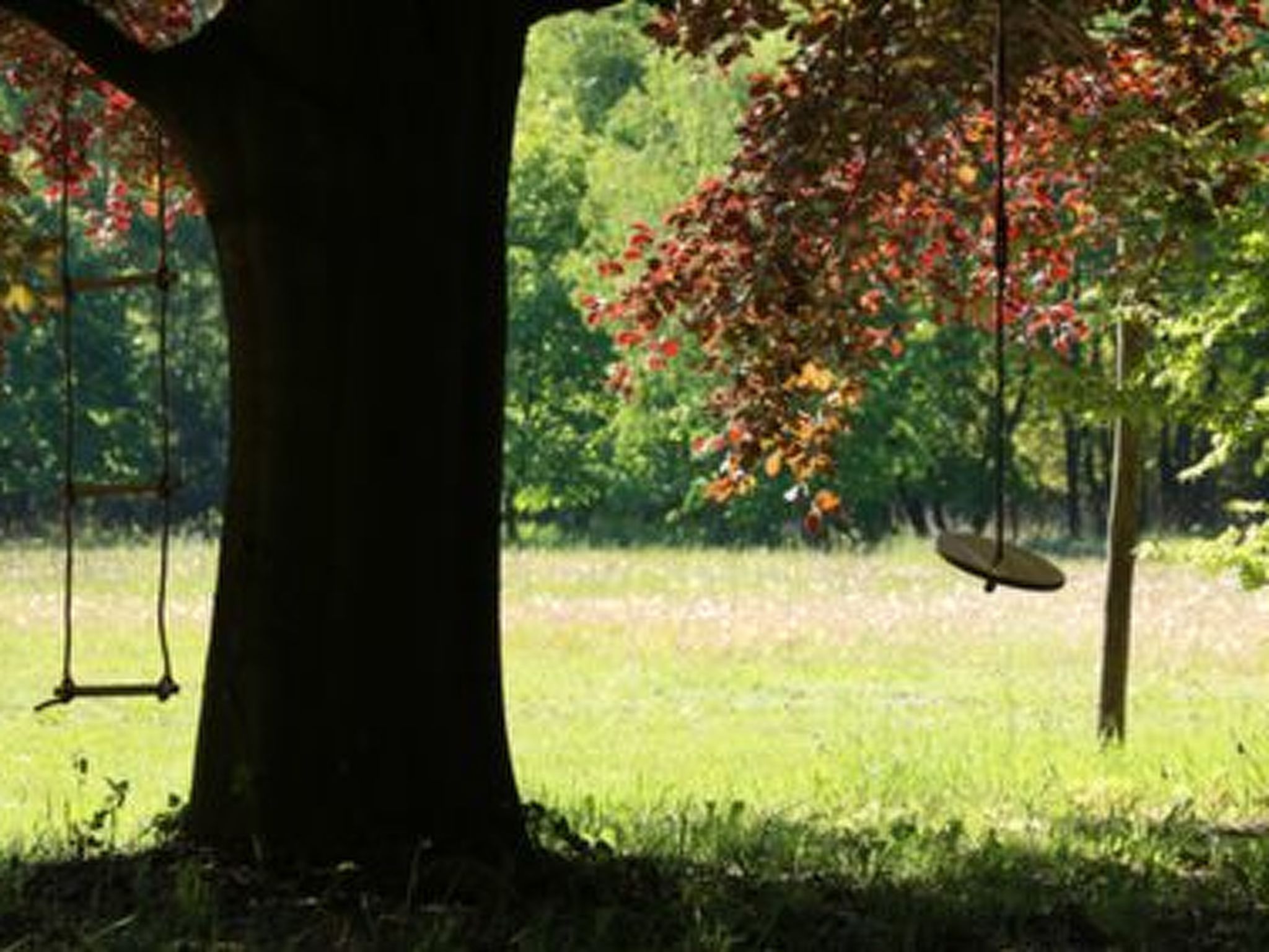 Heidebos für 8 Personen-Drinnen