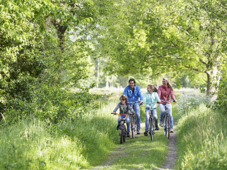 Ferienwohnung Premium