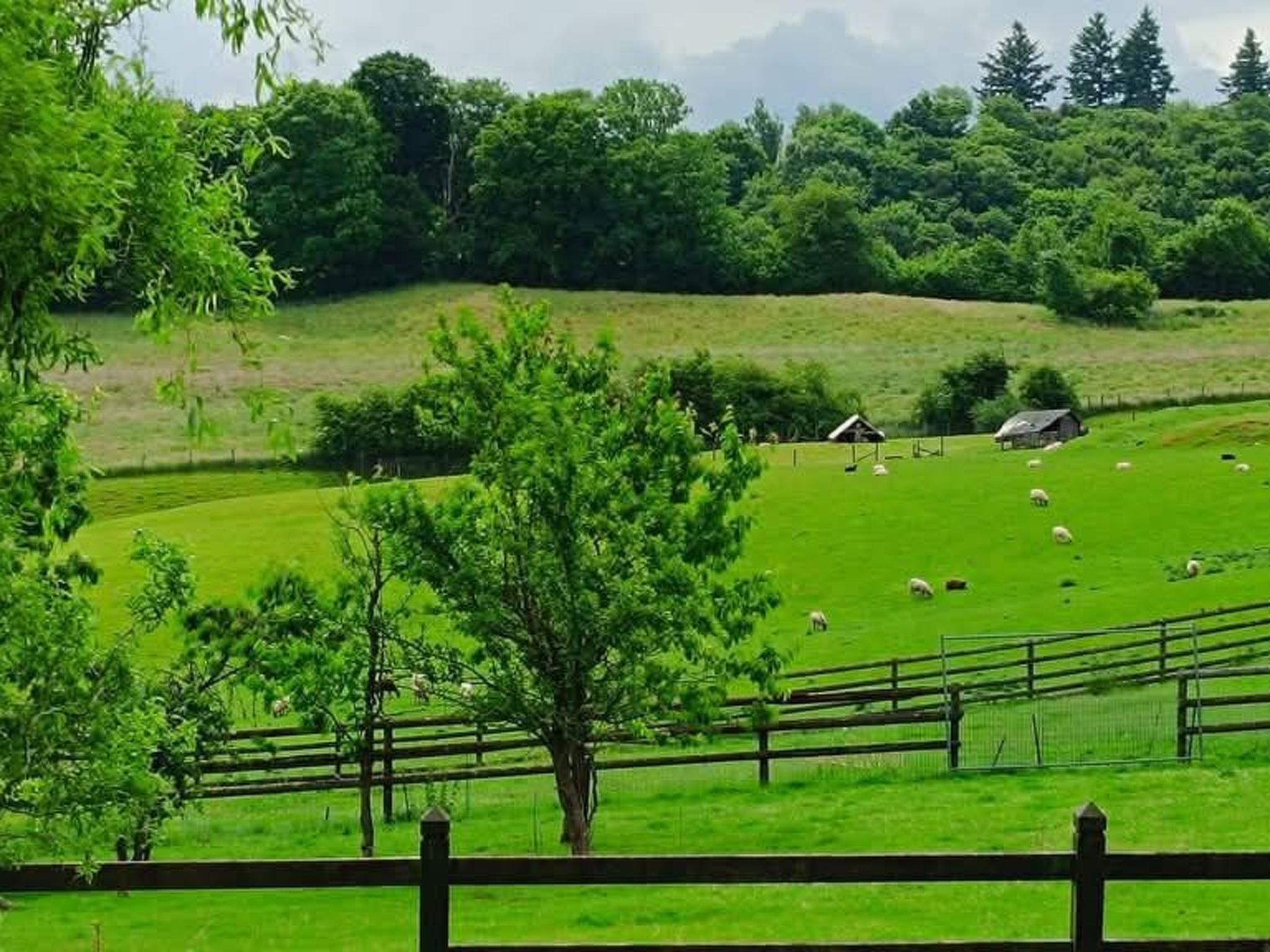 Tiny House Sundancer-Binnen