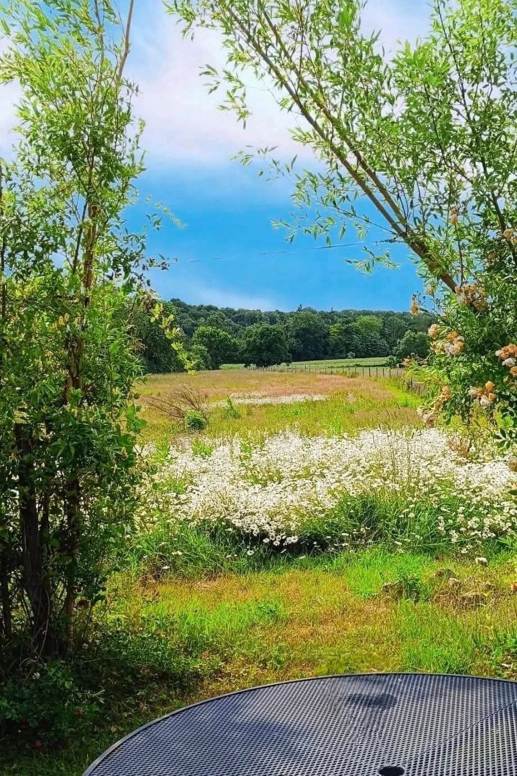 Tiny House Sundancer-Binnen