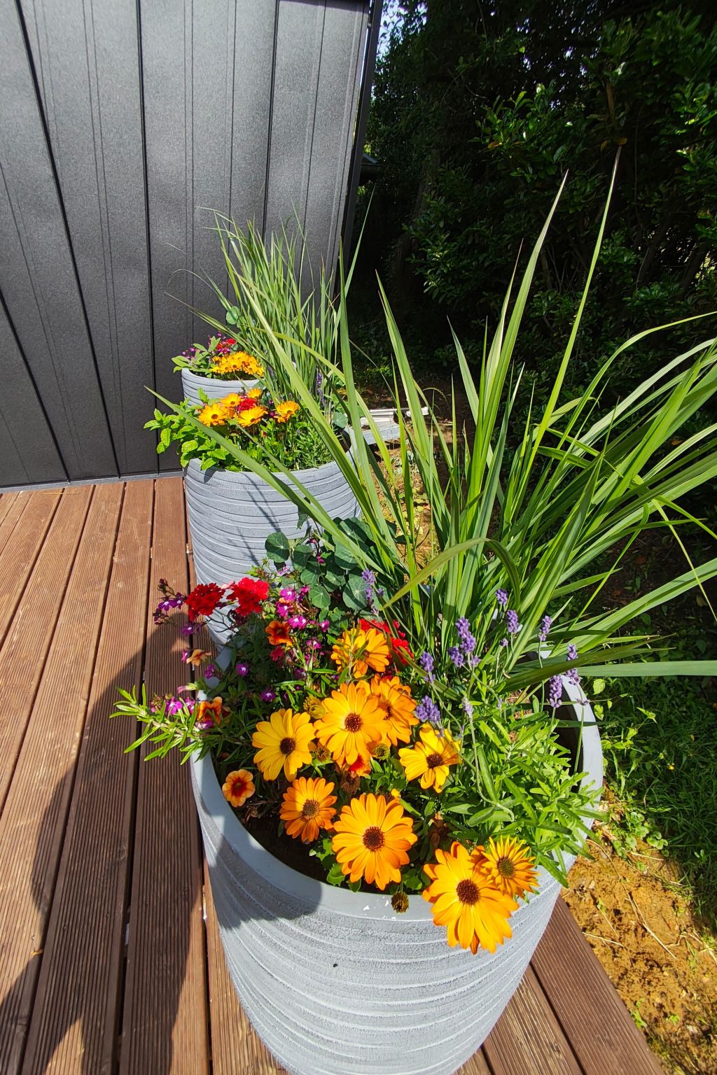 Tiny House Sundancer-Binnen