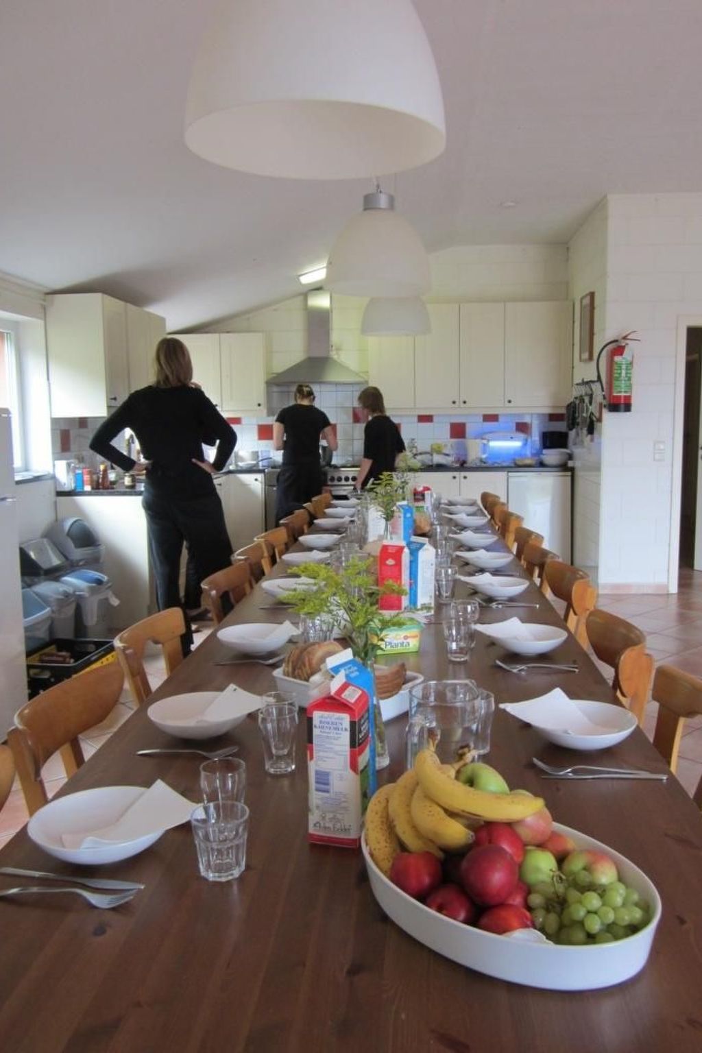 Snowview Lodge-Binnen