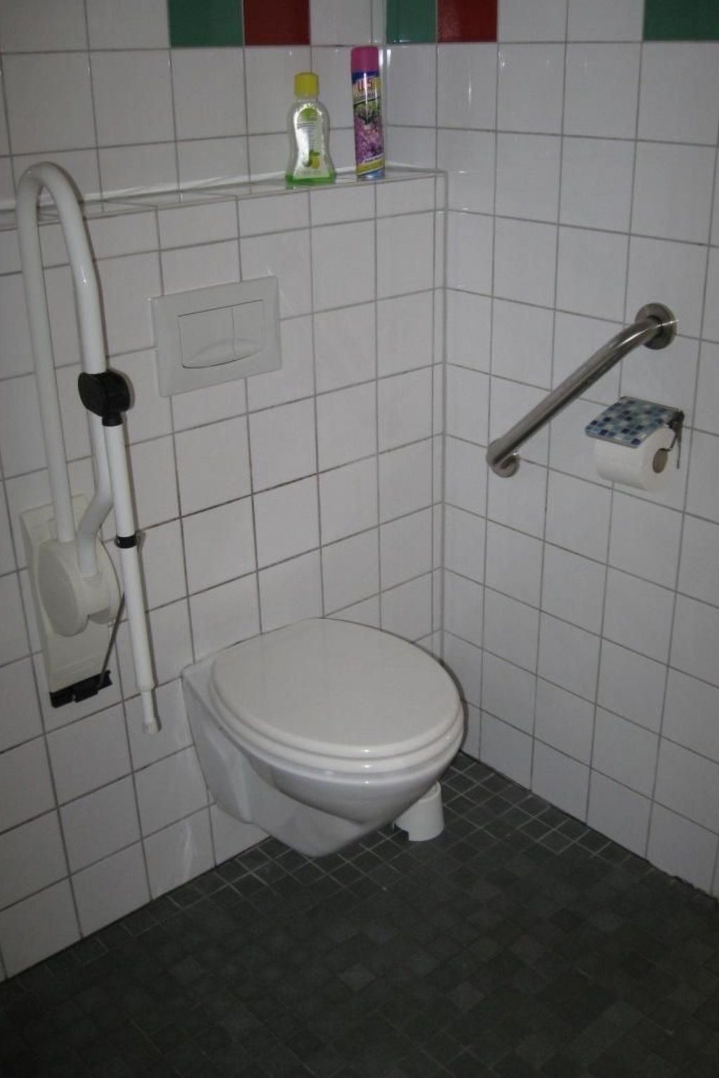 Snowview Lodge-Binnen