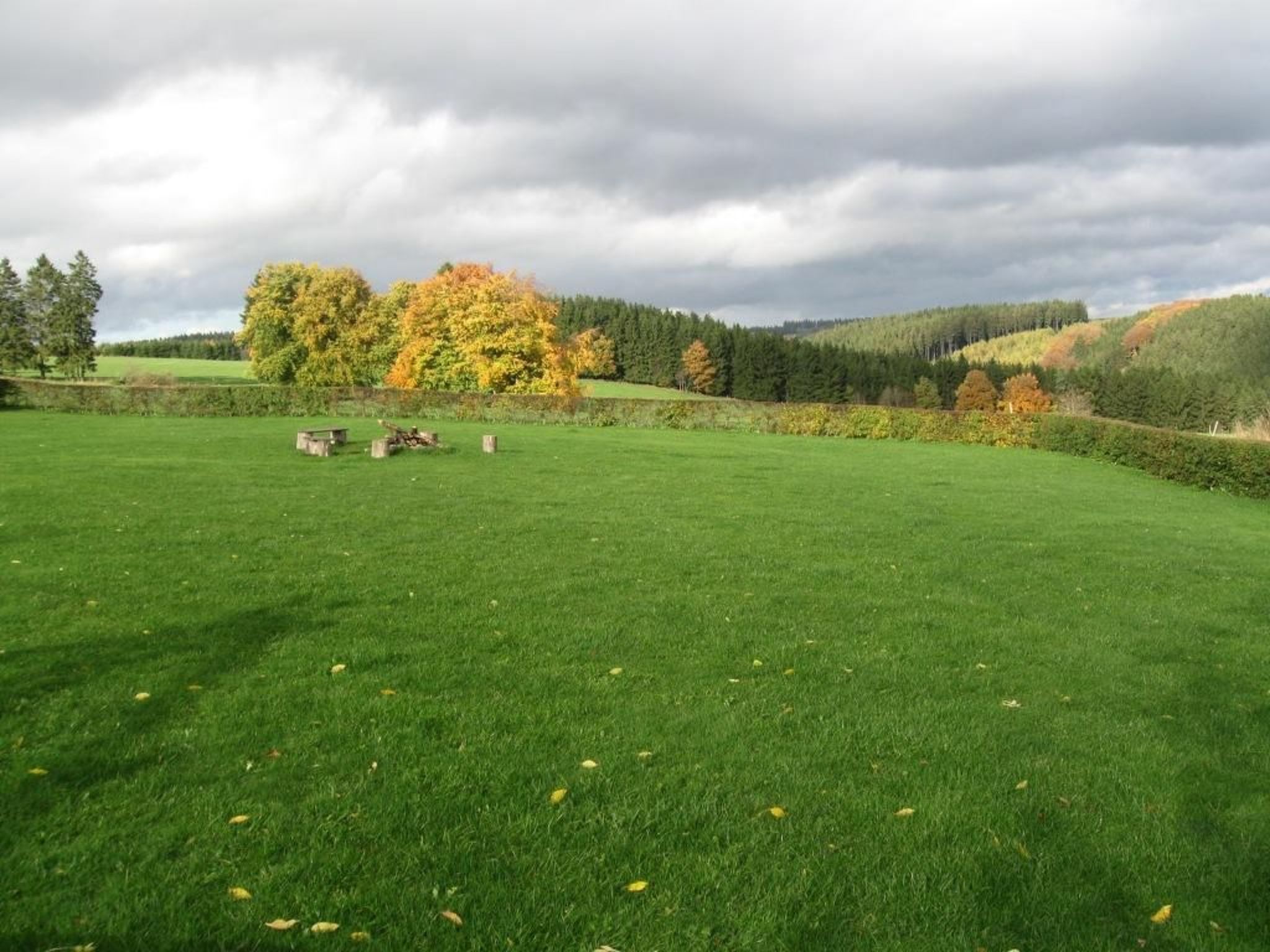 Snowview Lodge-Binnen