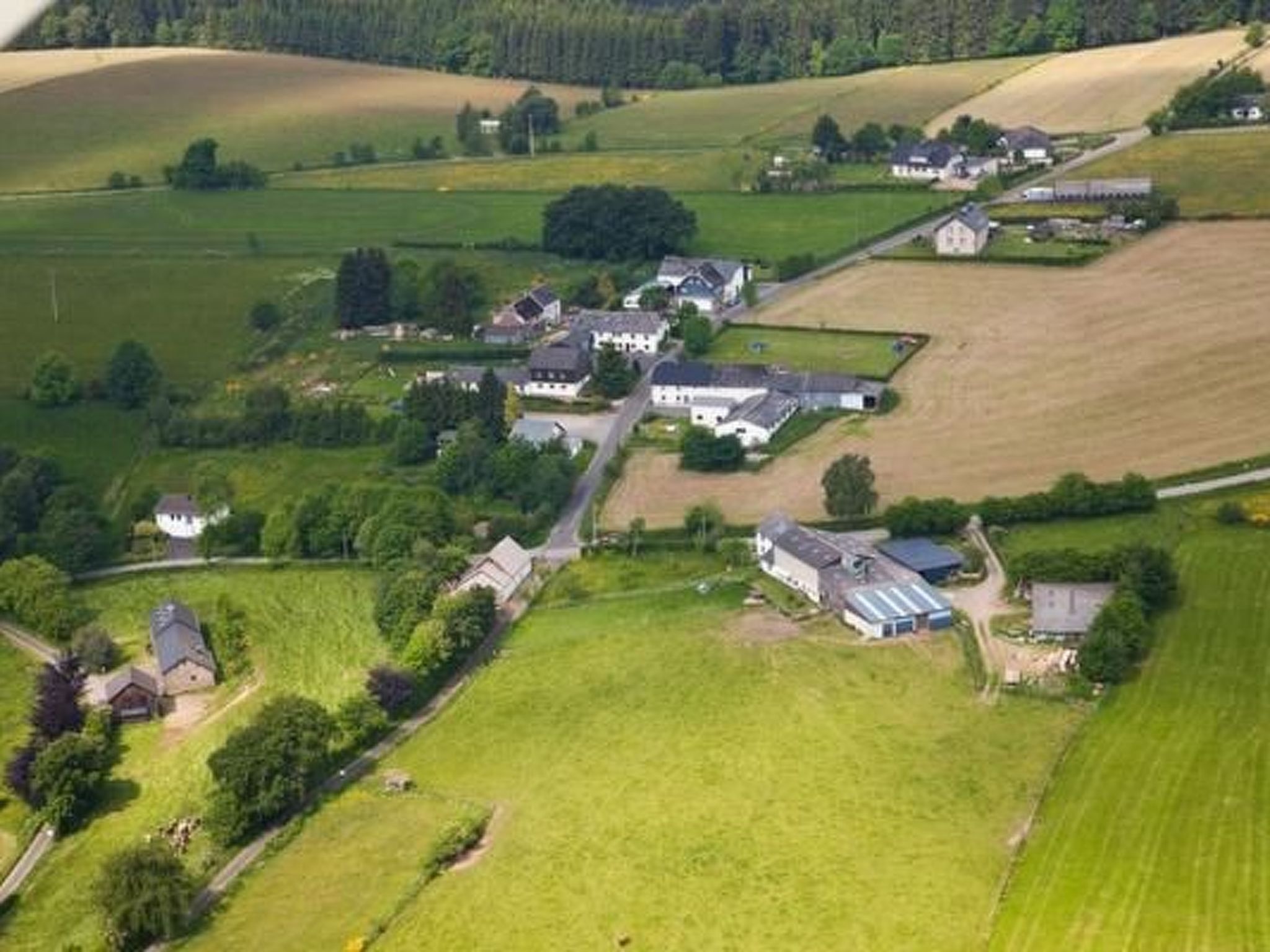 Snowview Lodge-Binnen