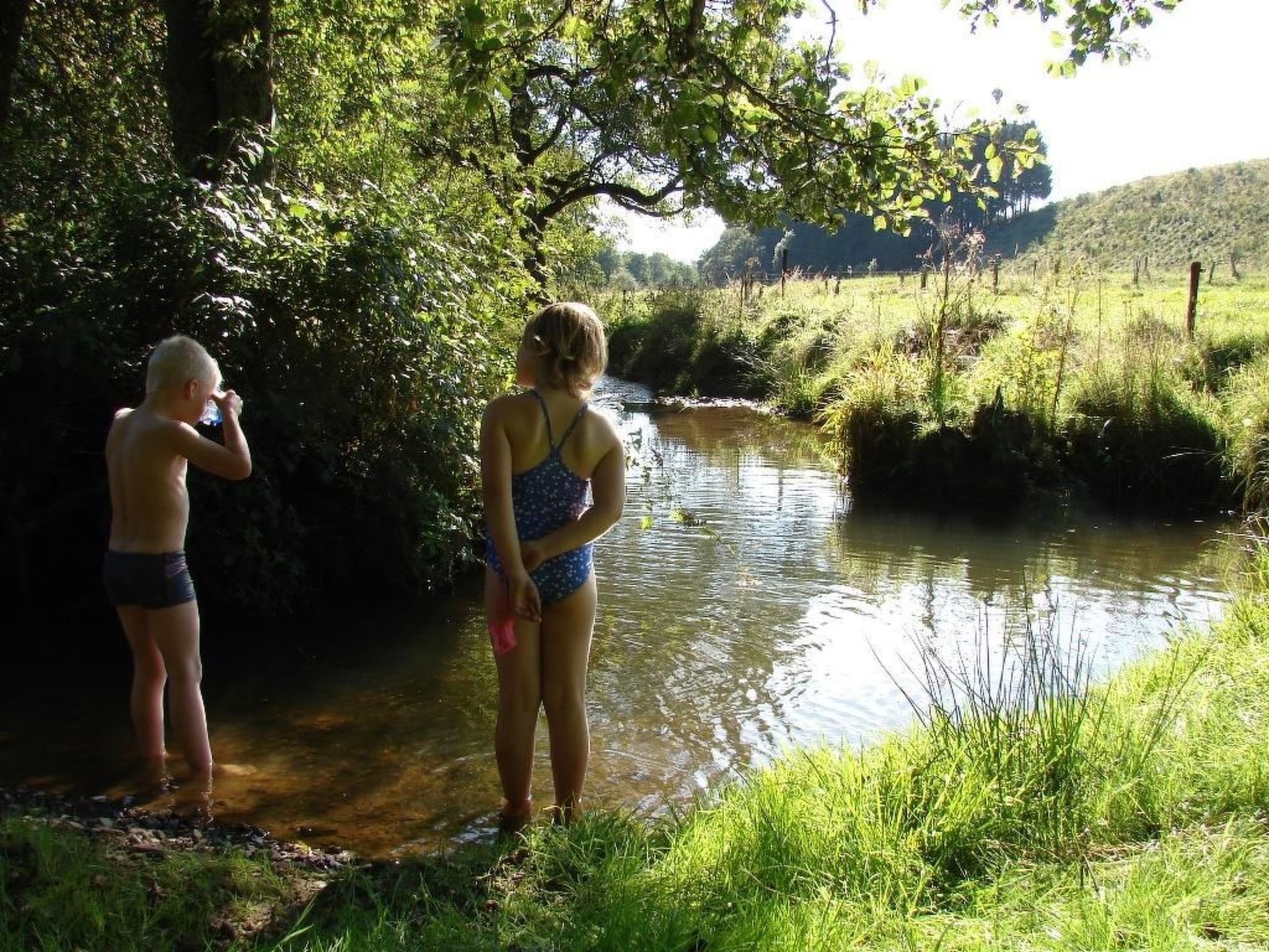 Snowview Lodge-Binnen