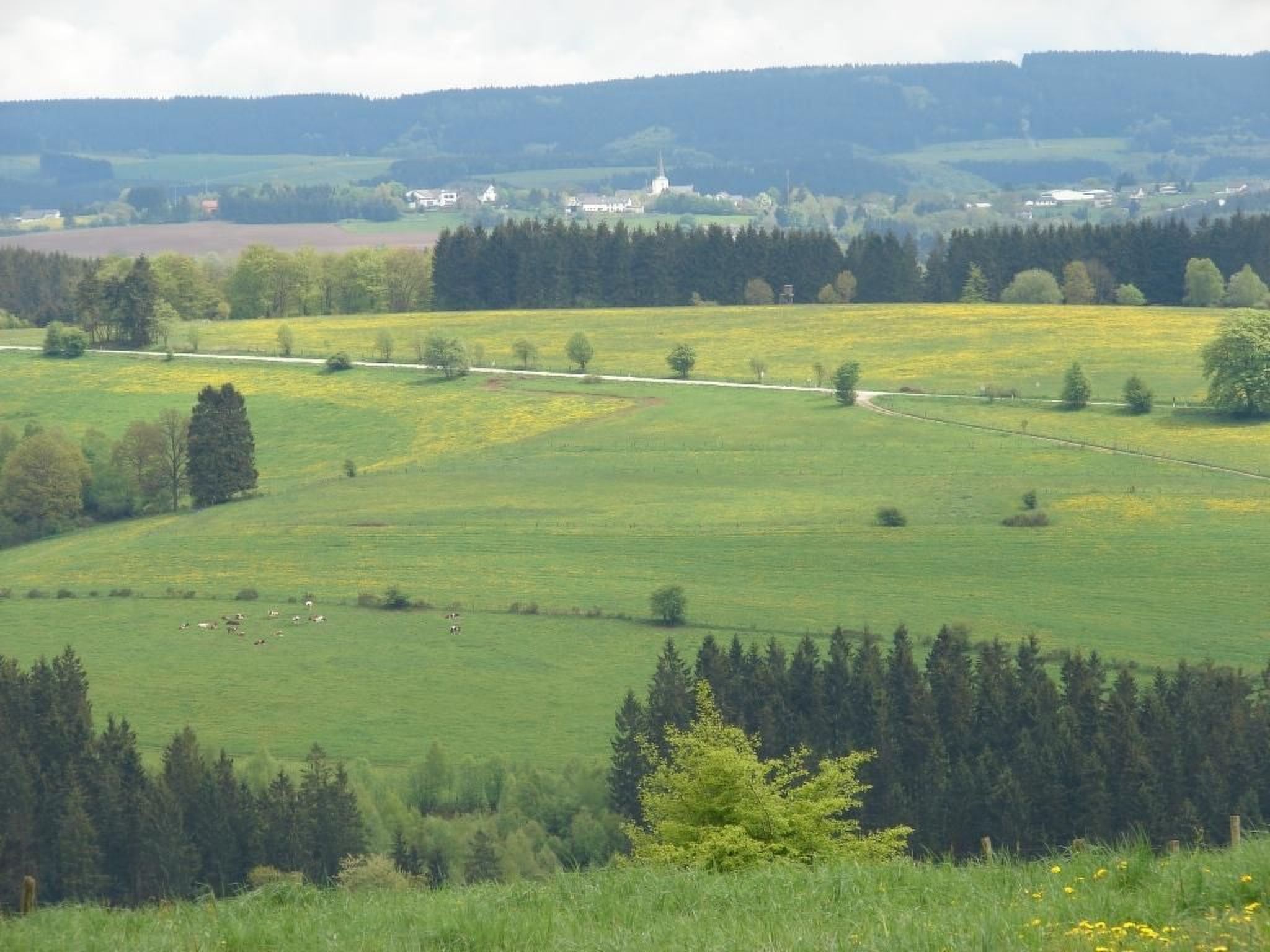 Snowview Lodge-Binnen