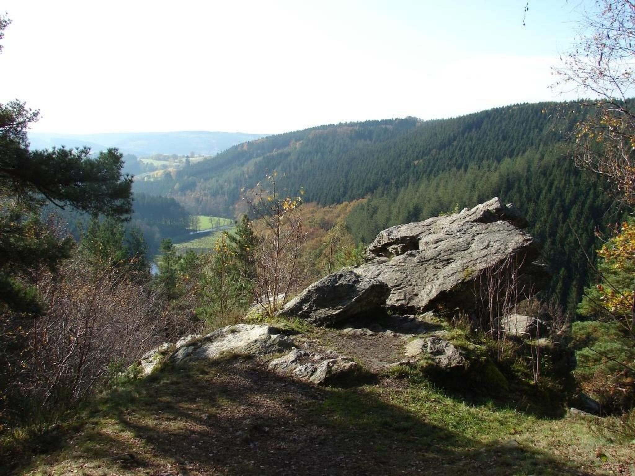 Snowview Lodge-Binnen