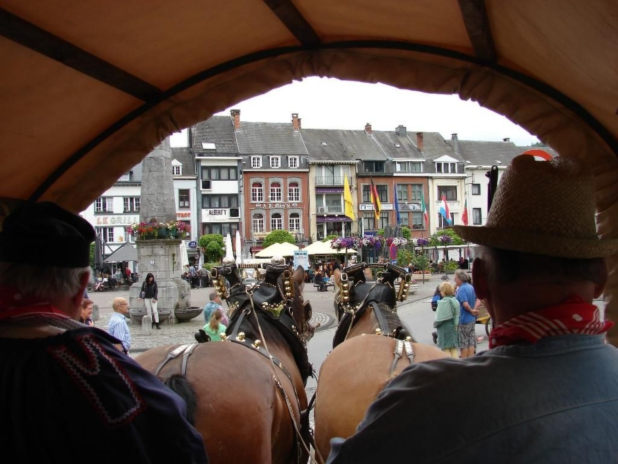 Snowview Lodge-Binnen