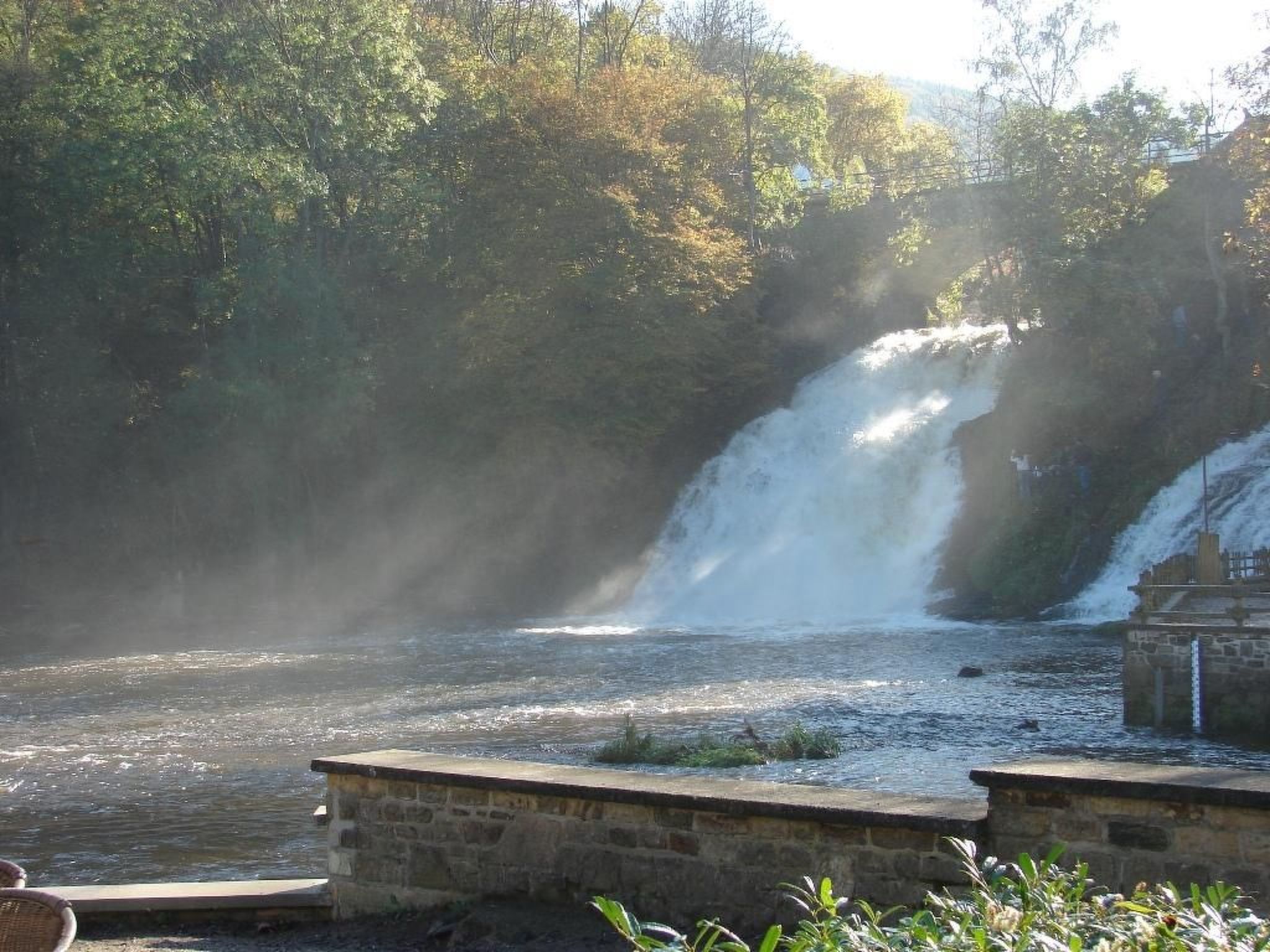 Snowview Lodge-Binnen