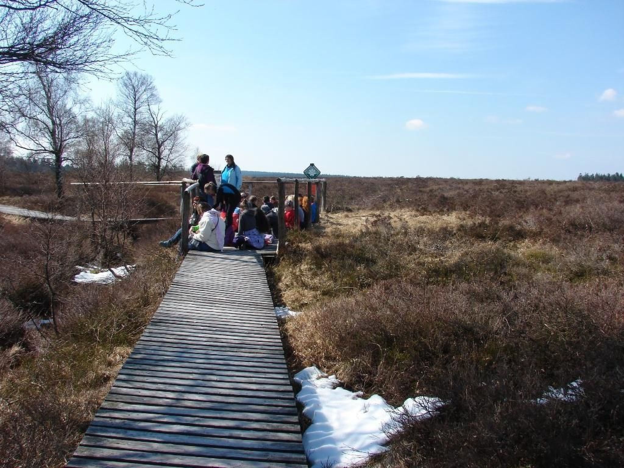 Snowview Lodge-Binnen