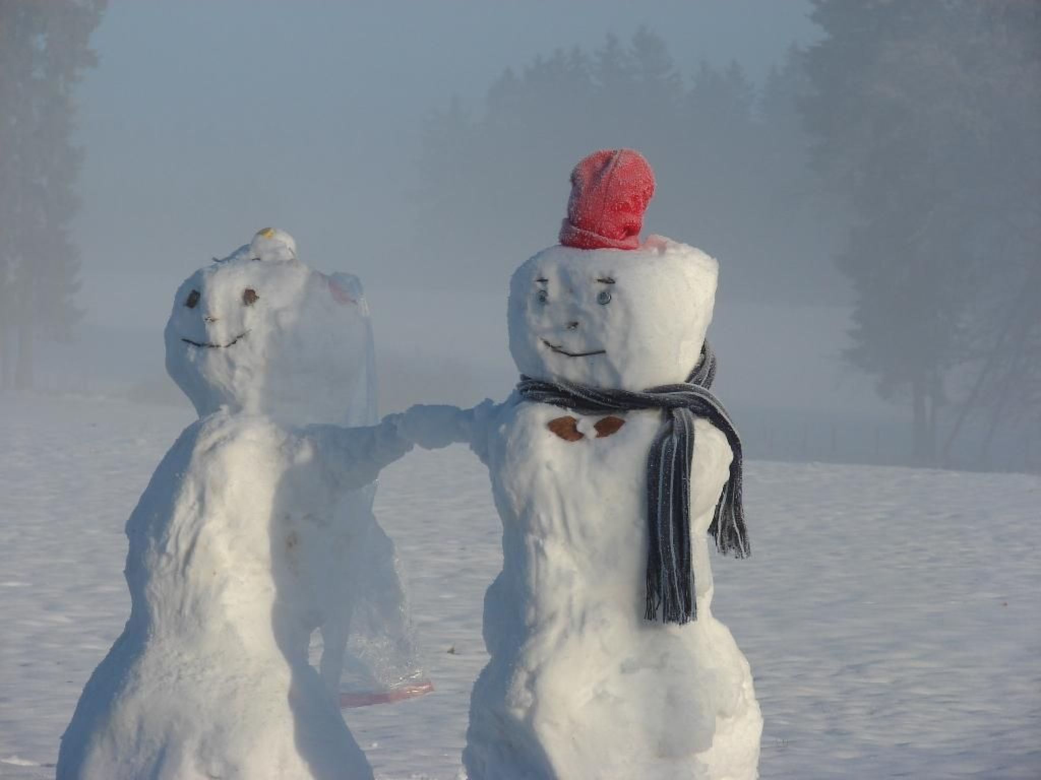 Snowview Lodge-Binnen