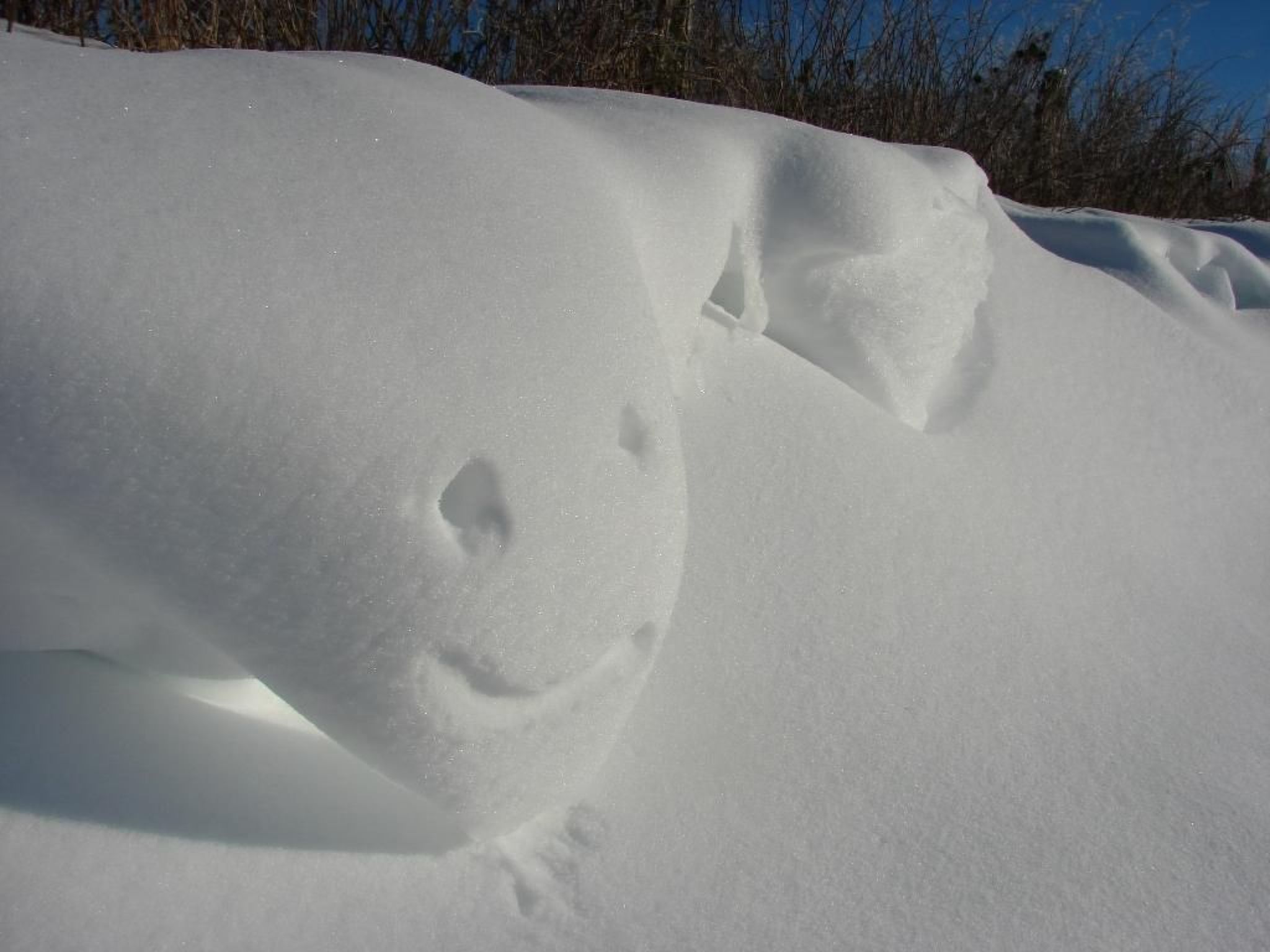 Snowview Lodge-Binnen