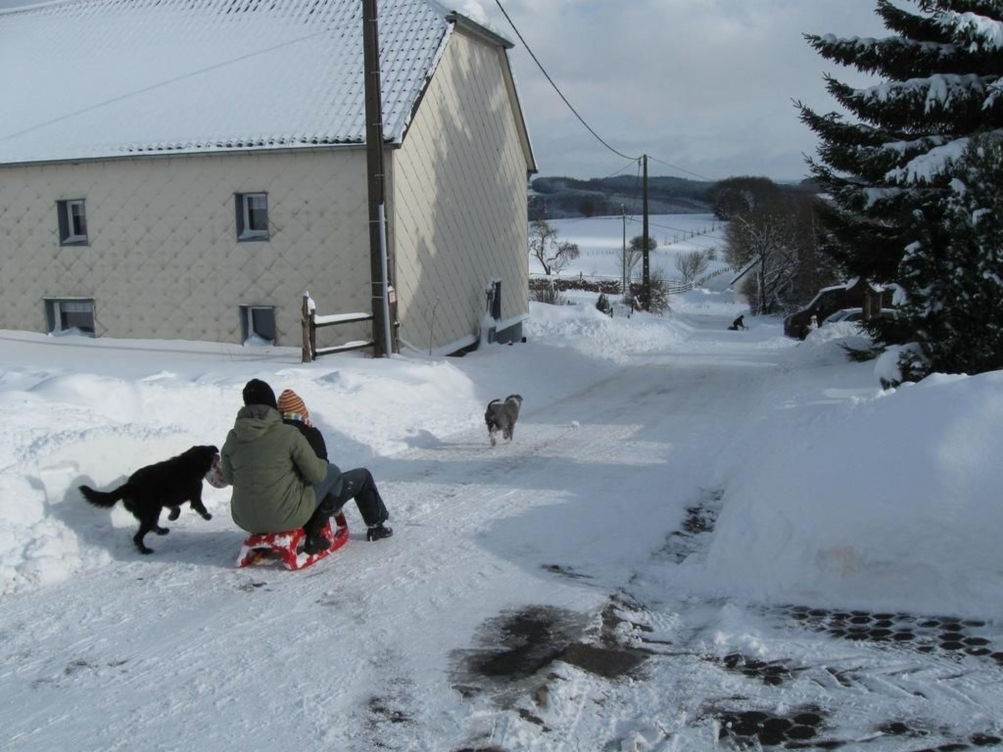 Snowview Lodge-Binnen