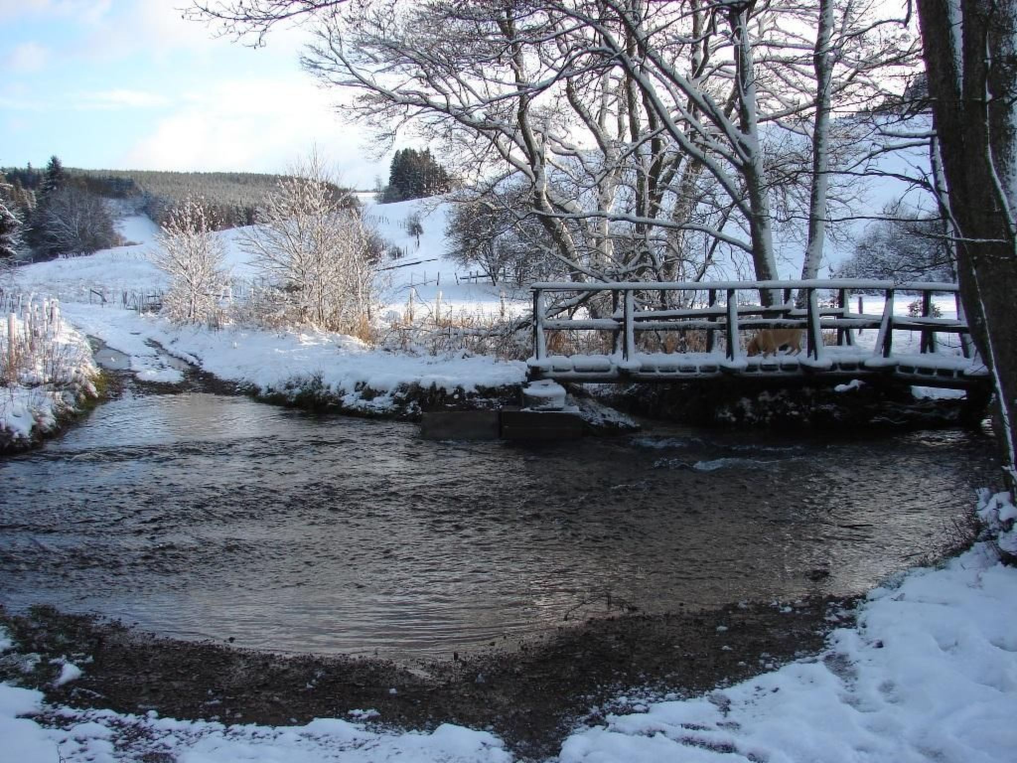 Snowview Lodge-Binnen