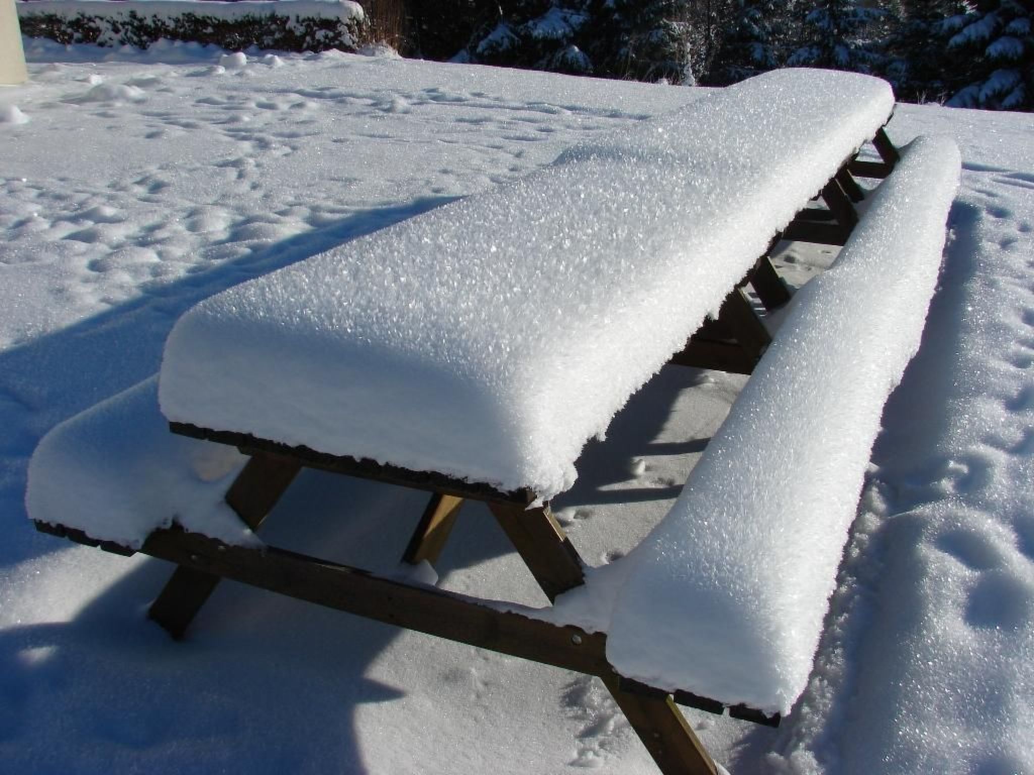 Snowview Lodge-Binnen