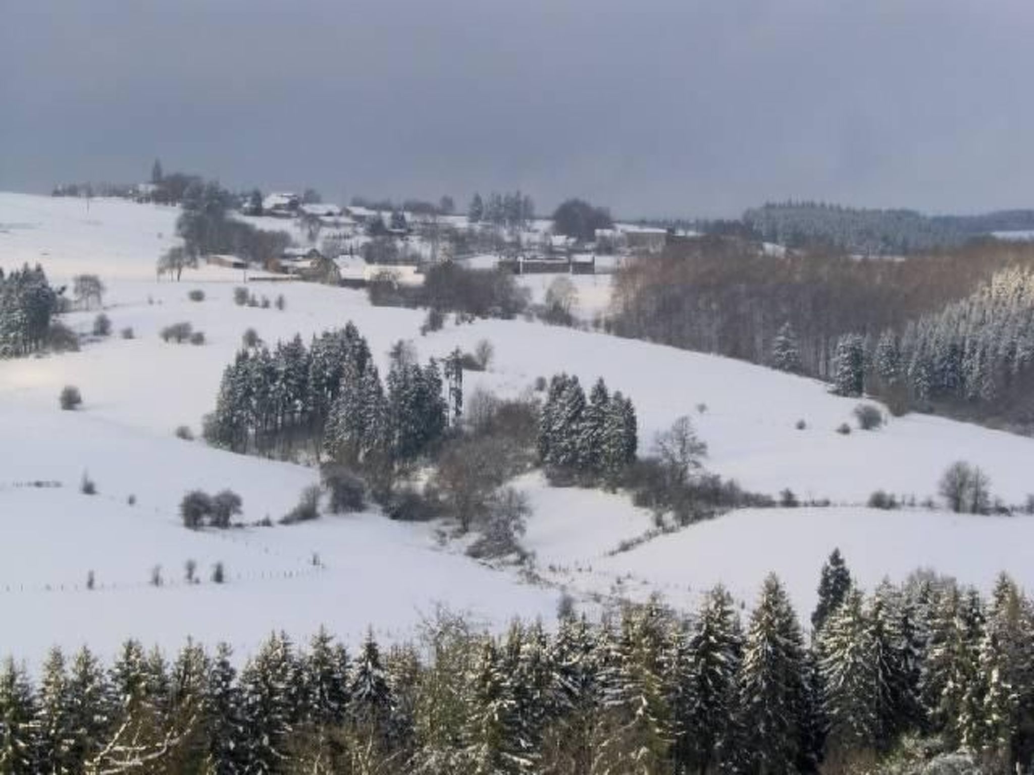 Snowview Lodge-Binnen