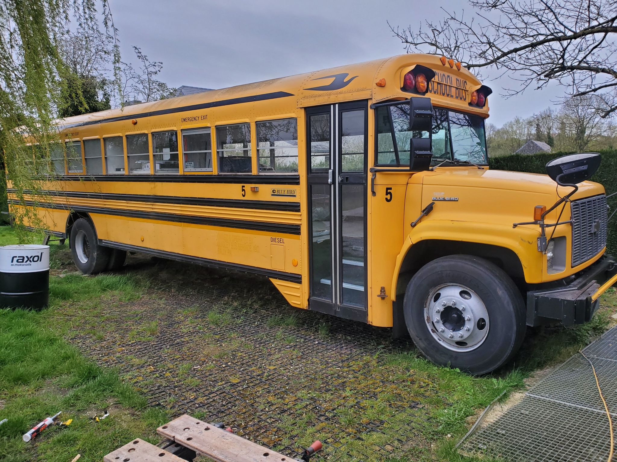 Ungewöhnliche Übernachtung in einem authentischen amerikanischen Schulbus