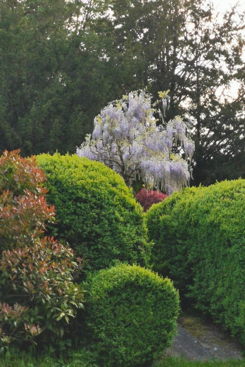 Für 8 Personen-Image-tags.info