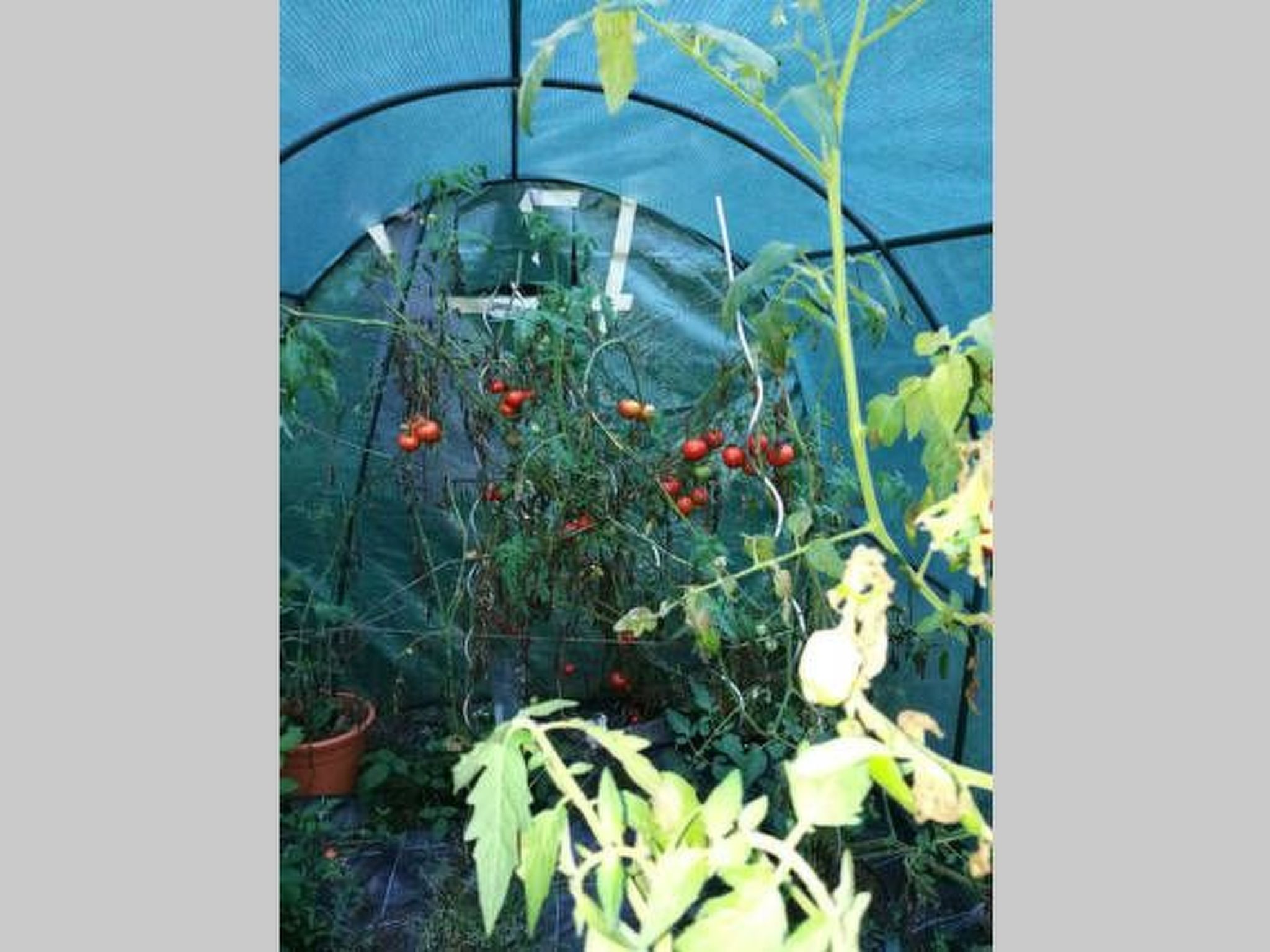 Für 8 Personen-Image-tags.info