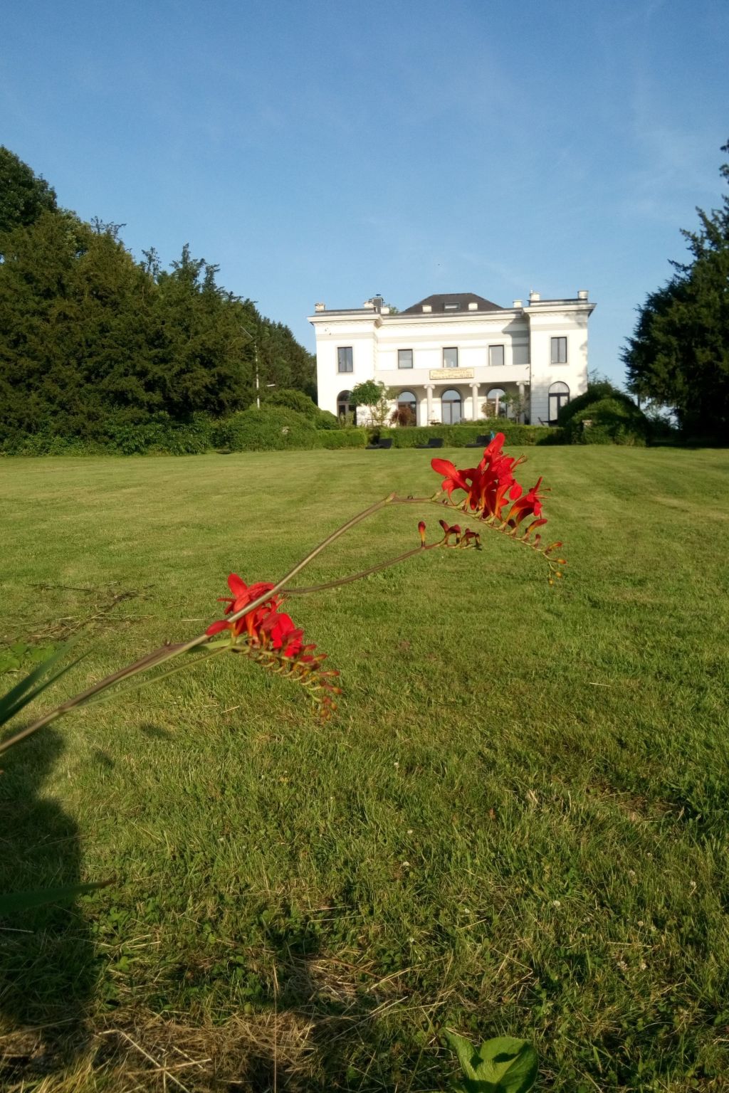 Für 8 Personen-Image-tags.info