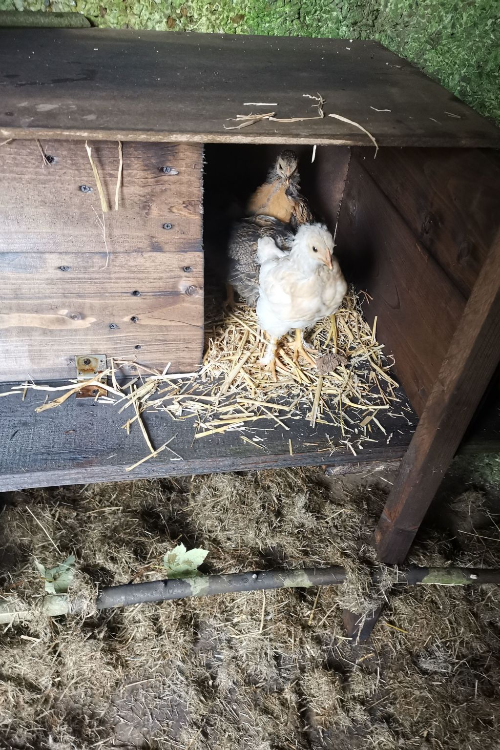 Für 8 Personen-Image-tags.info