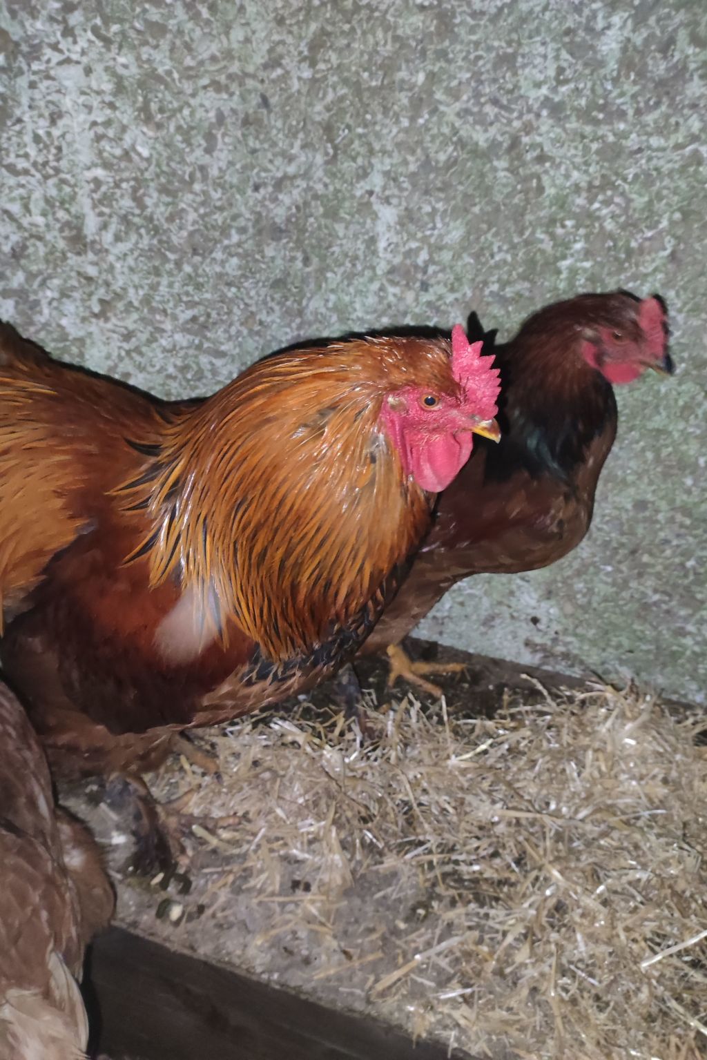 Für 8 Personen-Image-tags.info