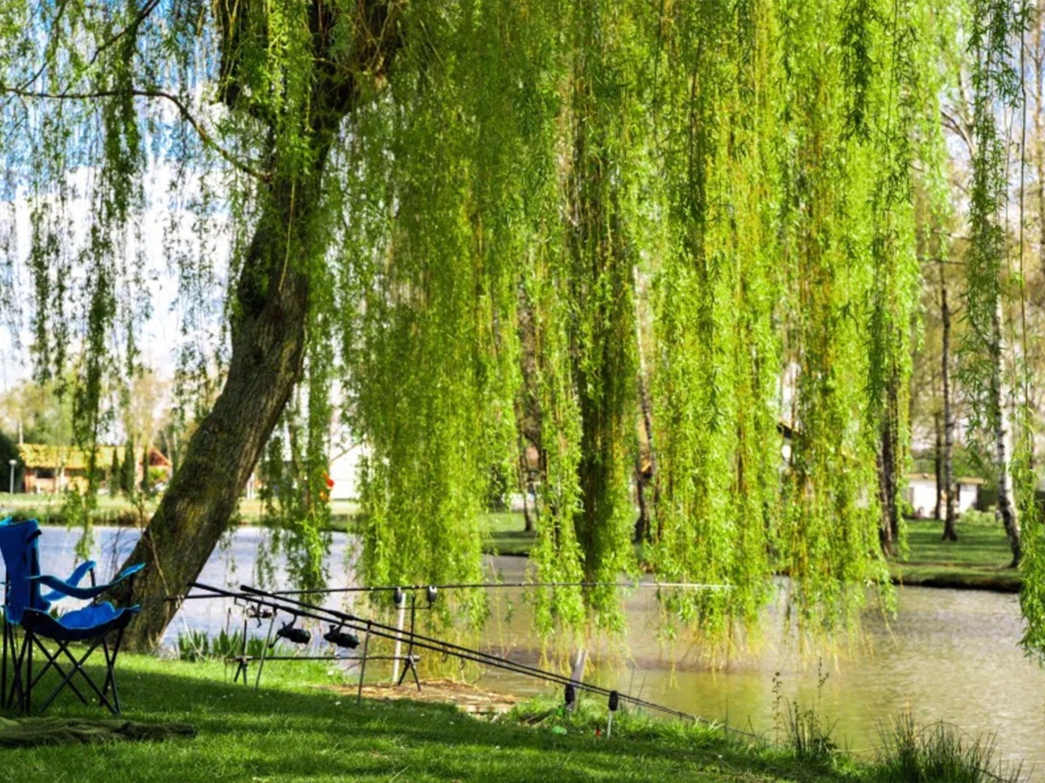 Camping Papillon Bouillon - Vakantiehuis Premium - Buiten