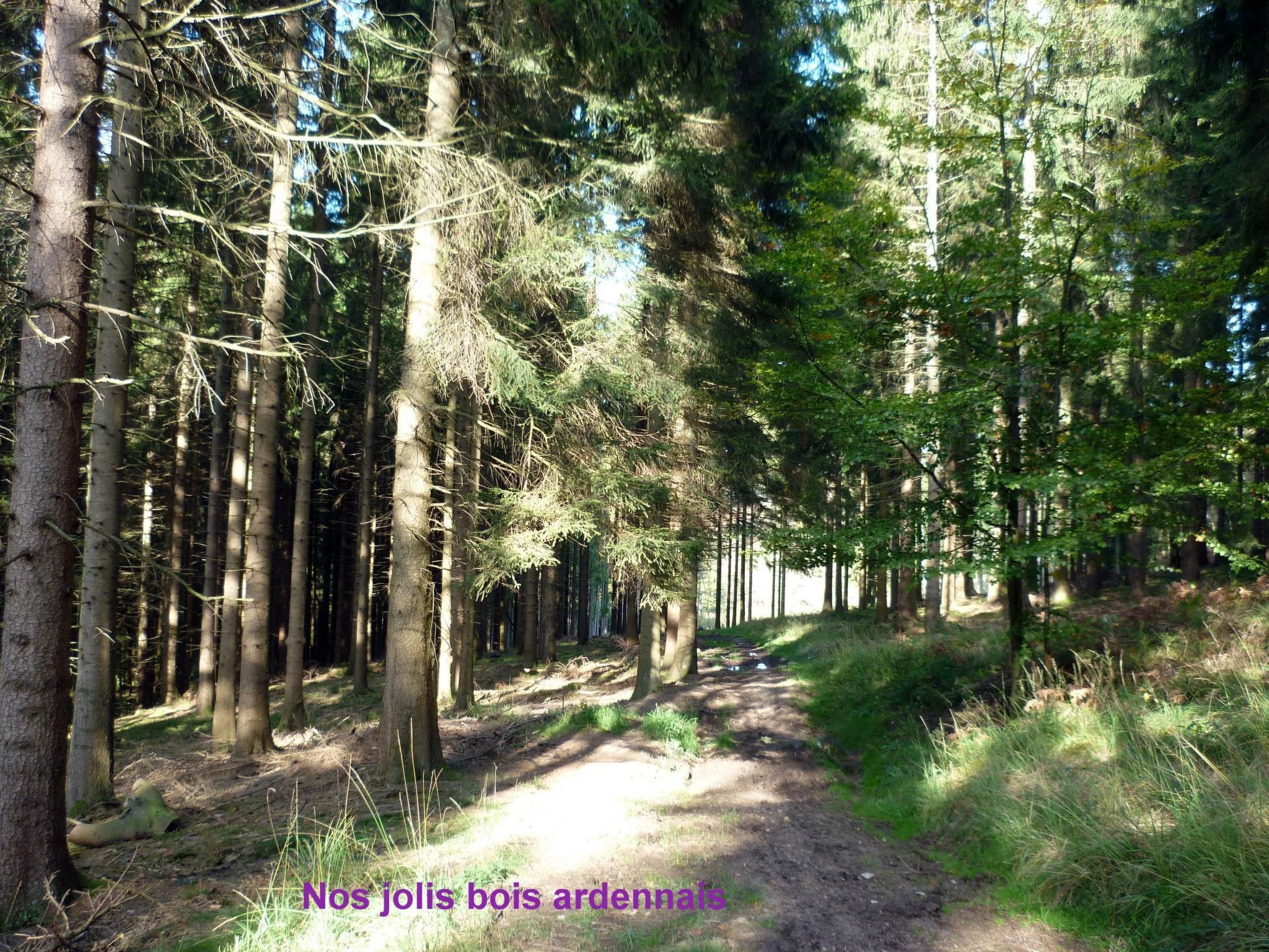 Ardennen Ferienhaus 5 Zimmer 5 Bad 14 Pers Zugang Chaisards-Binnen