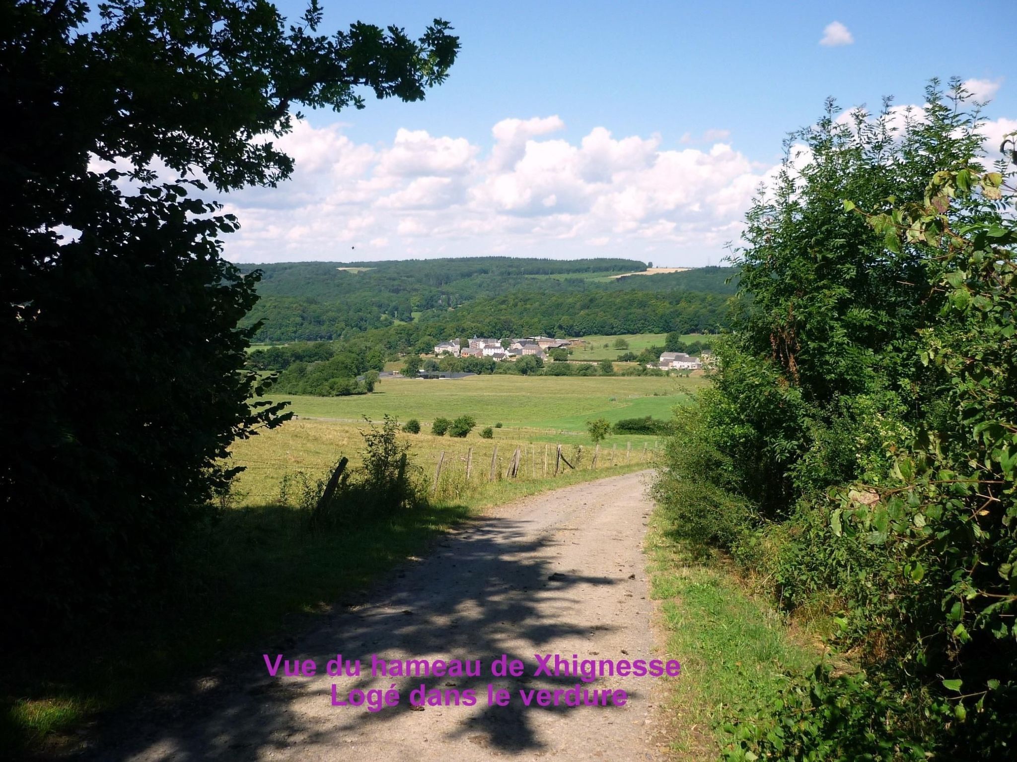 Ardennen Ferienhaus 5 Zimmer 5 Bad 14 Pers Zugang Chaisards-Binnen