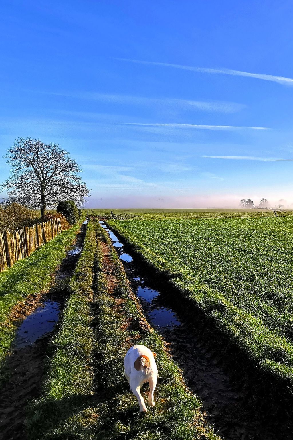 Komplett neue ländliche Unterkunft im Cottage-Stil Komfort-Binnen