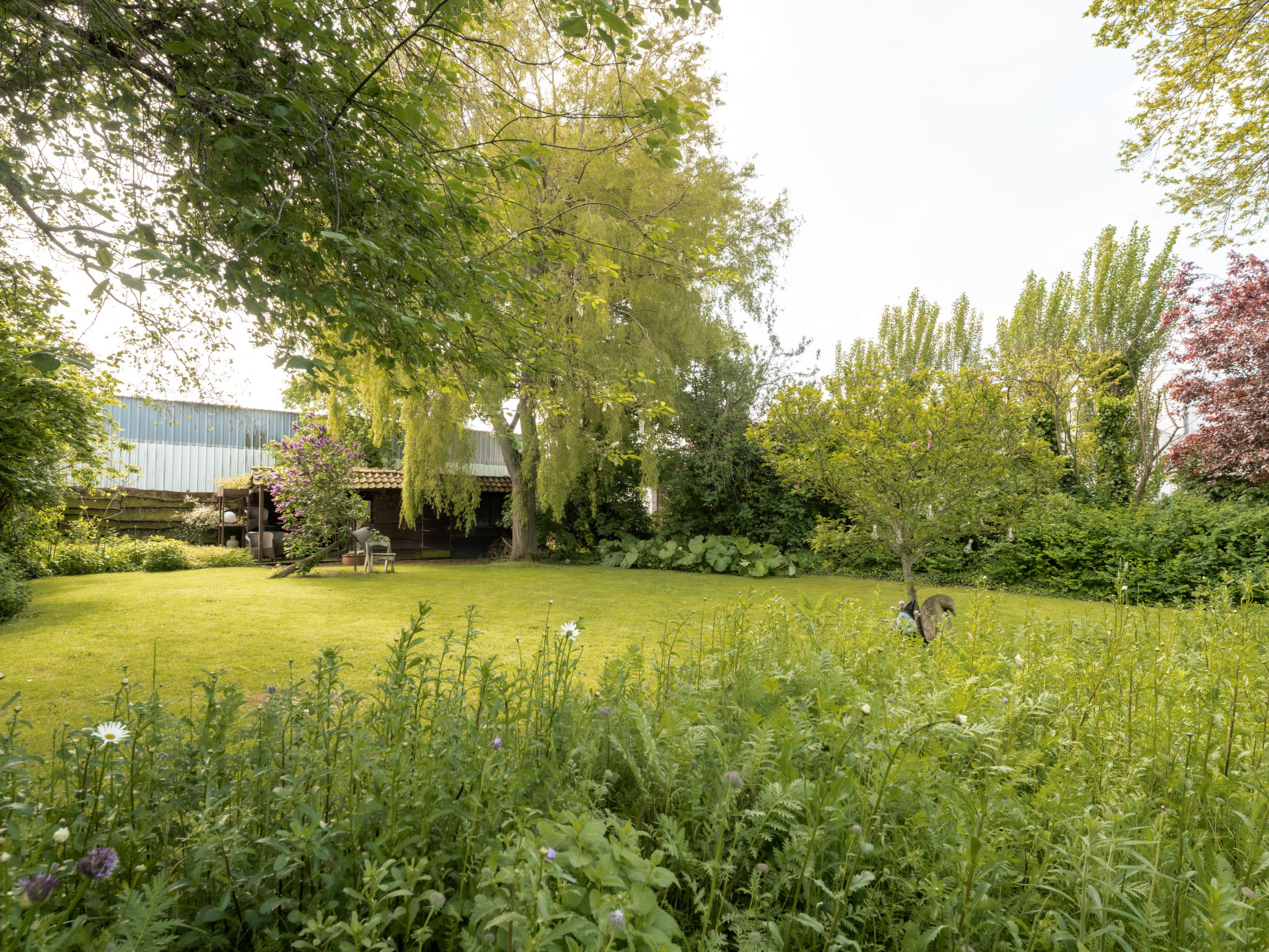 Photo of Domicile adoré