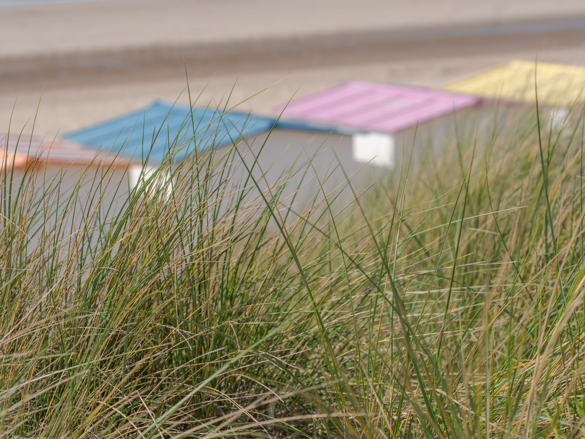 Silver@thebeach - Buiten