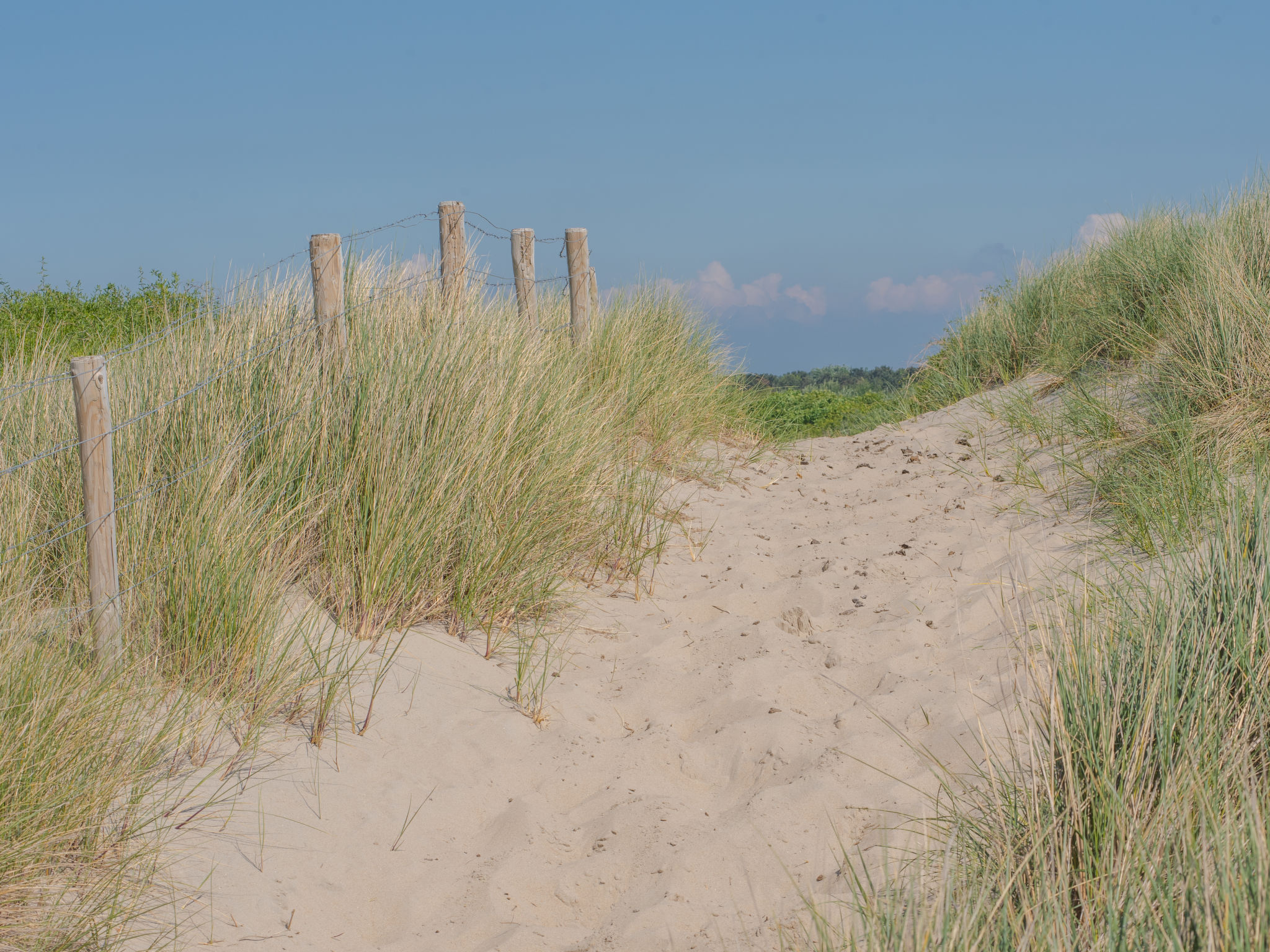 Silver@thebeach - Buiten