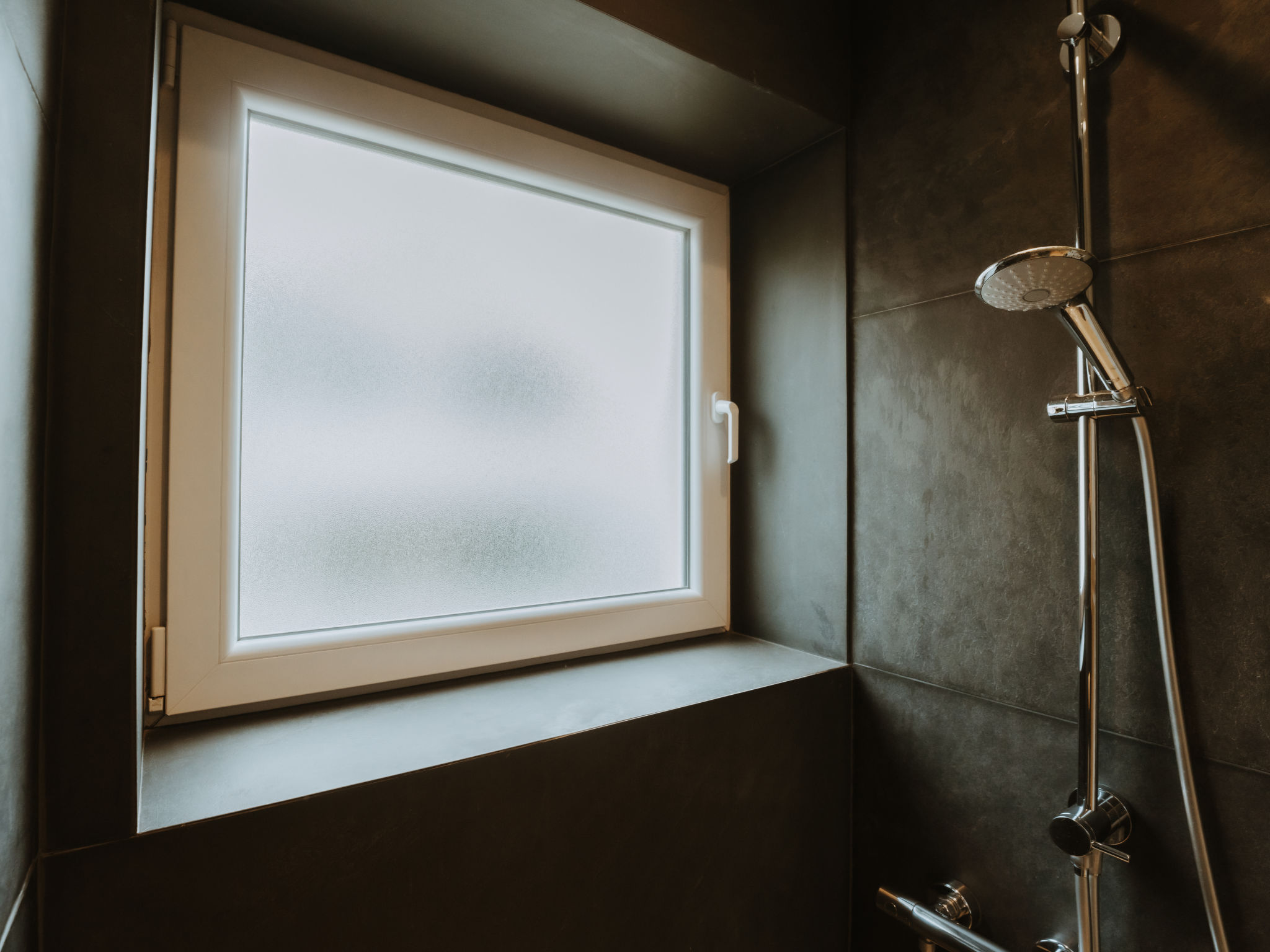 Photo of Goethe close to the beach