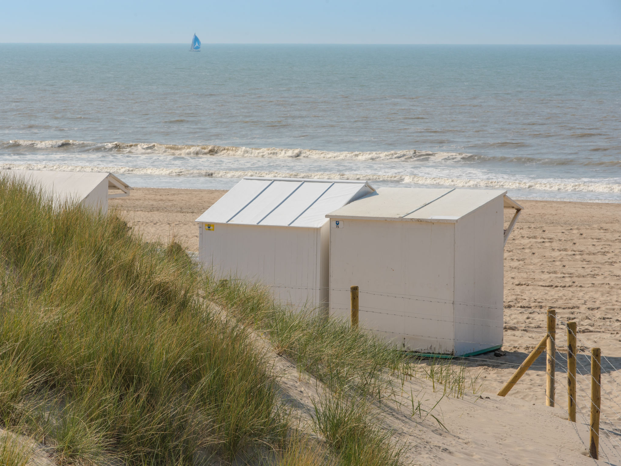 Photo of Goethe close to the beach