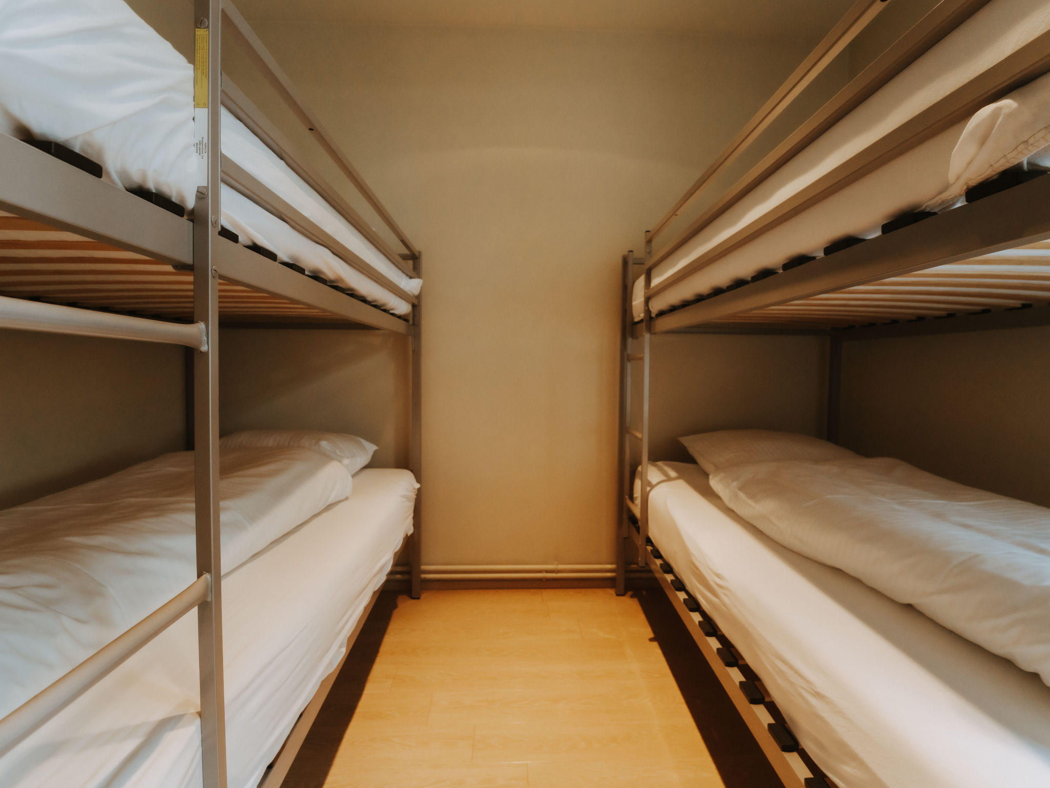 Photo of Goethe close to the beach