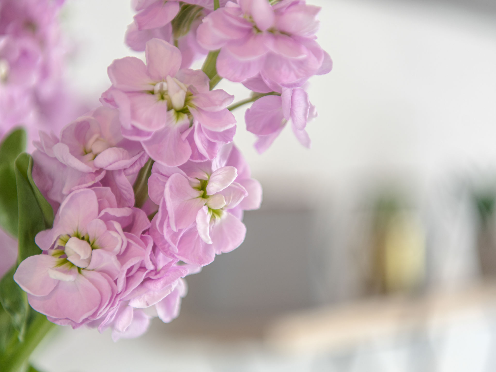 Photo of La Bella Vita parking and shared pool